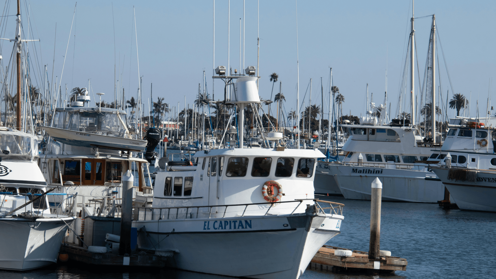 commercial fishing vessels for sale at marina