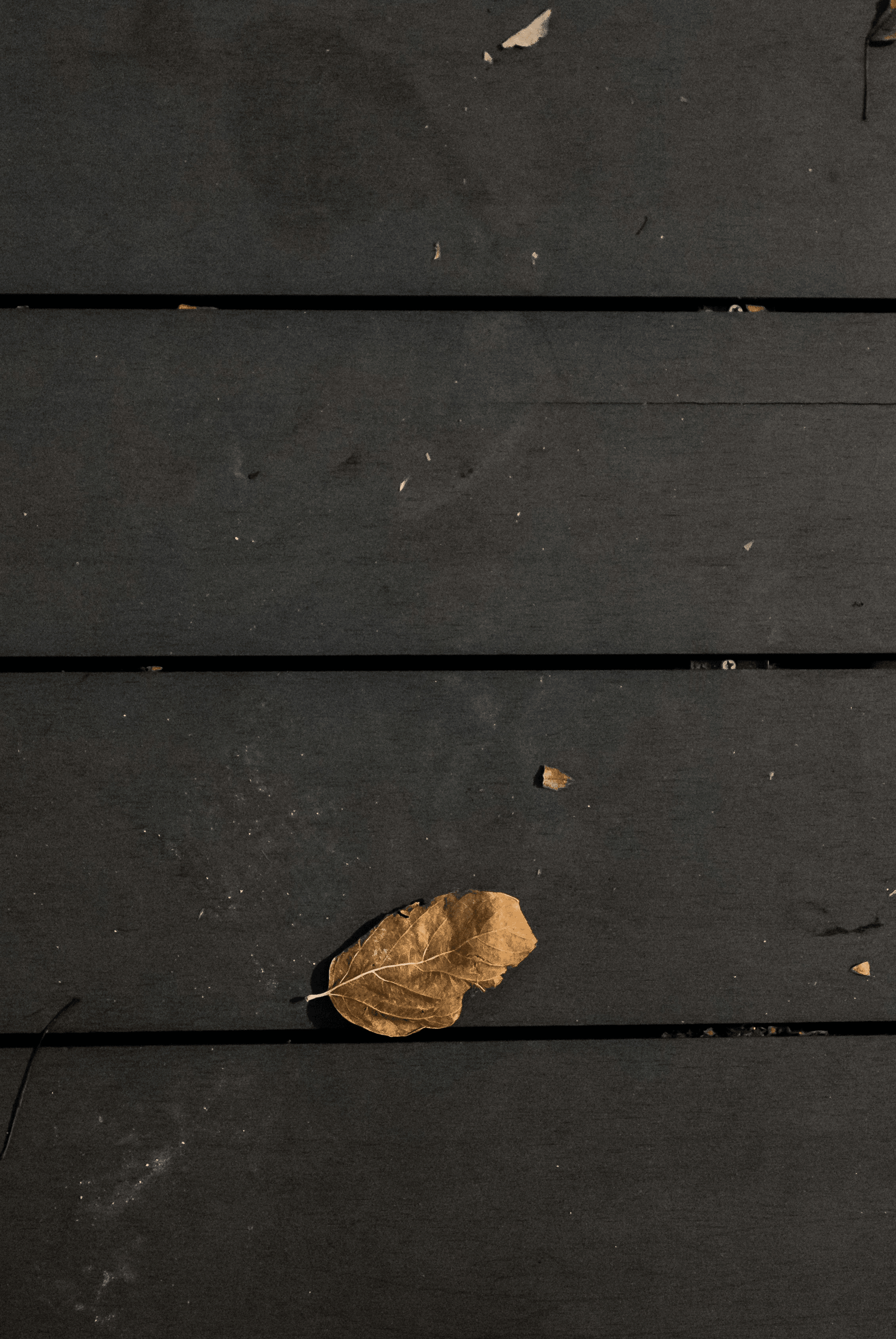 Stunning tigerwood showcasing unique patterns among hardwood decking types.