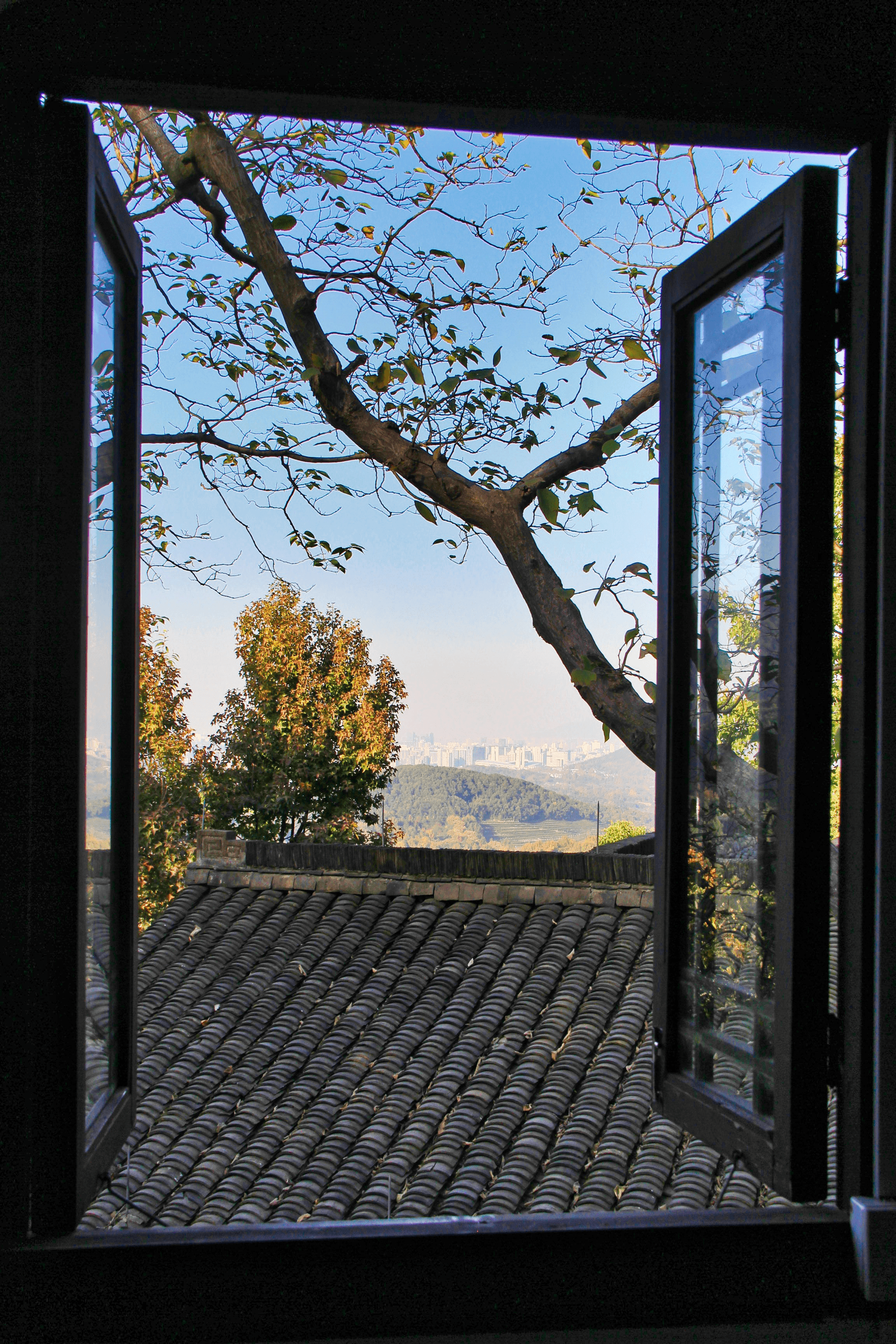 Eco-friendly modern window from China