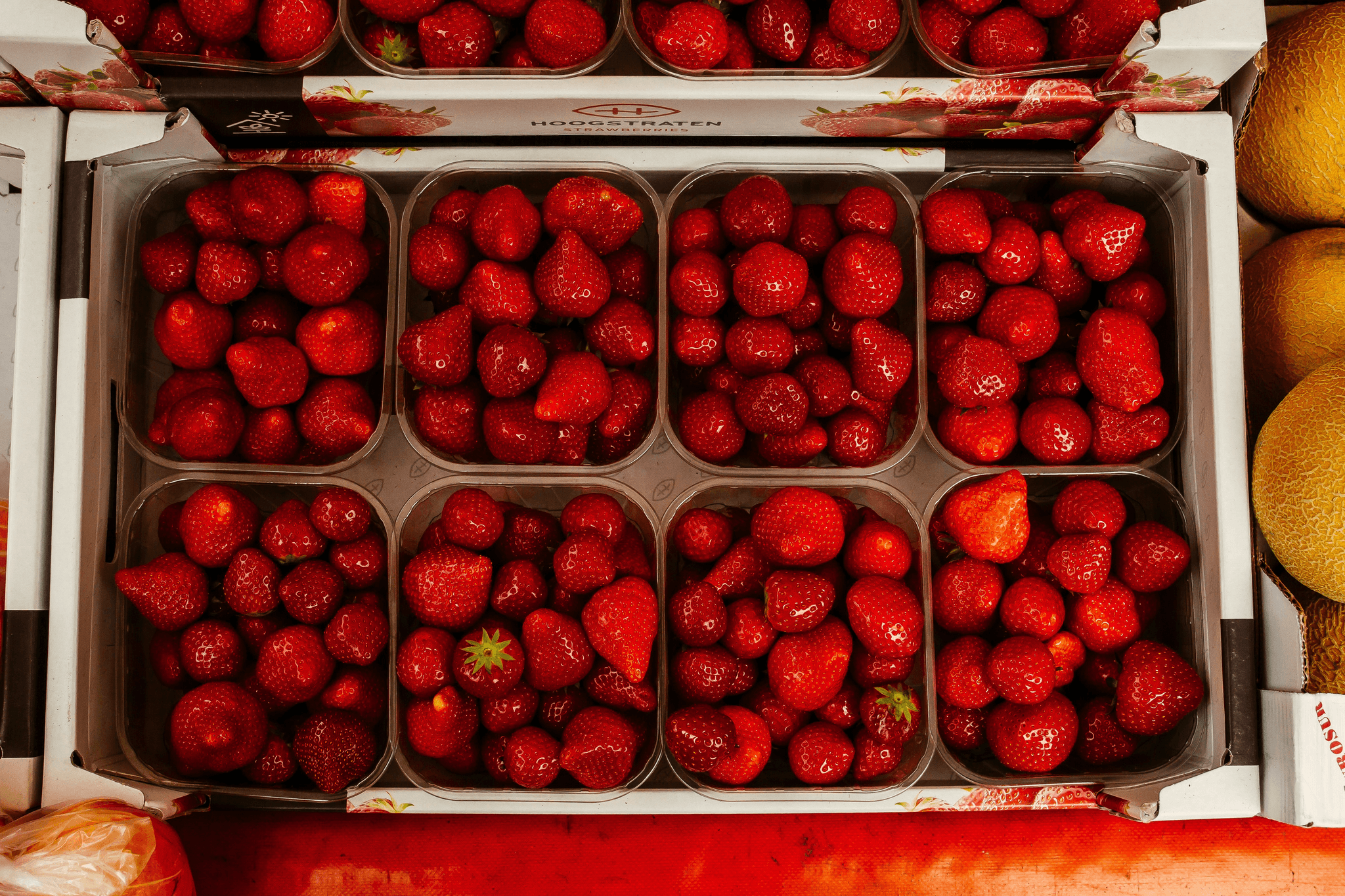 DIY Workshop - How to Plant a Strawberry Pot