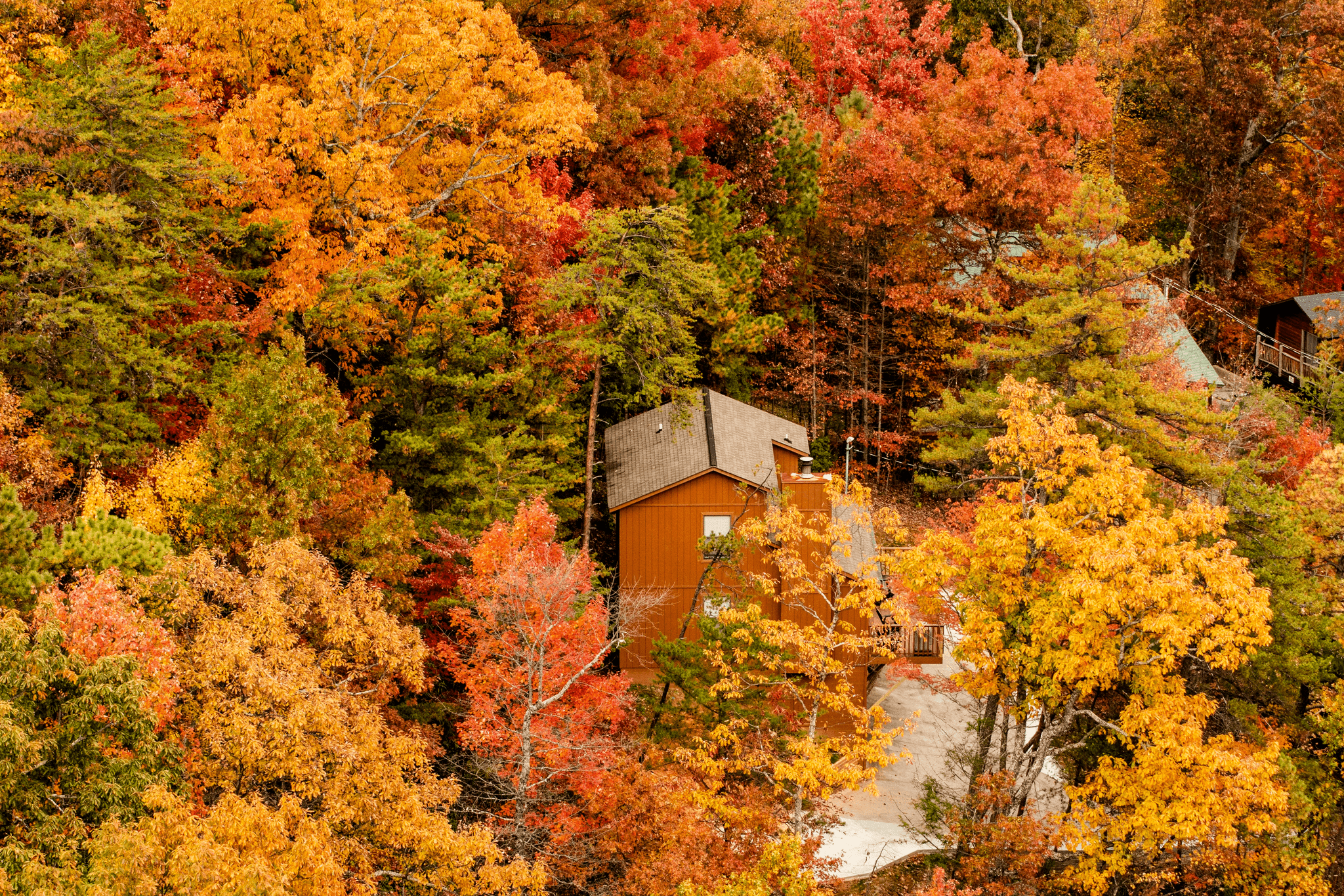 Cozy apple cabin for sale nestled in scenic forest