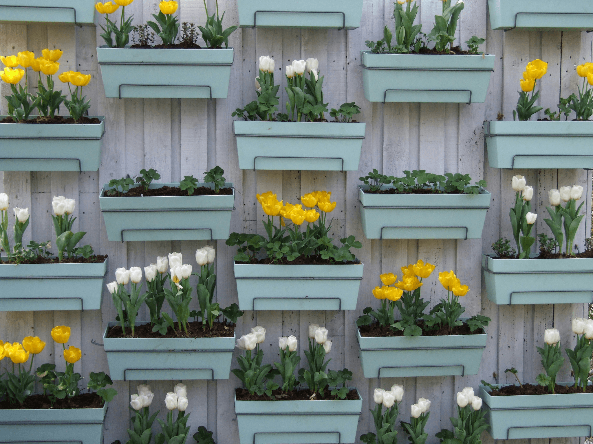 Stunning container designs showcasing vibrant flowers in vertical arrangements.