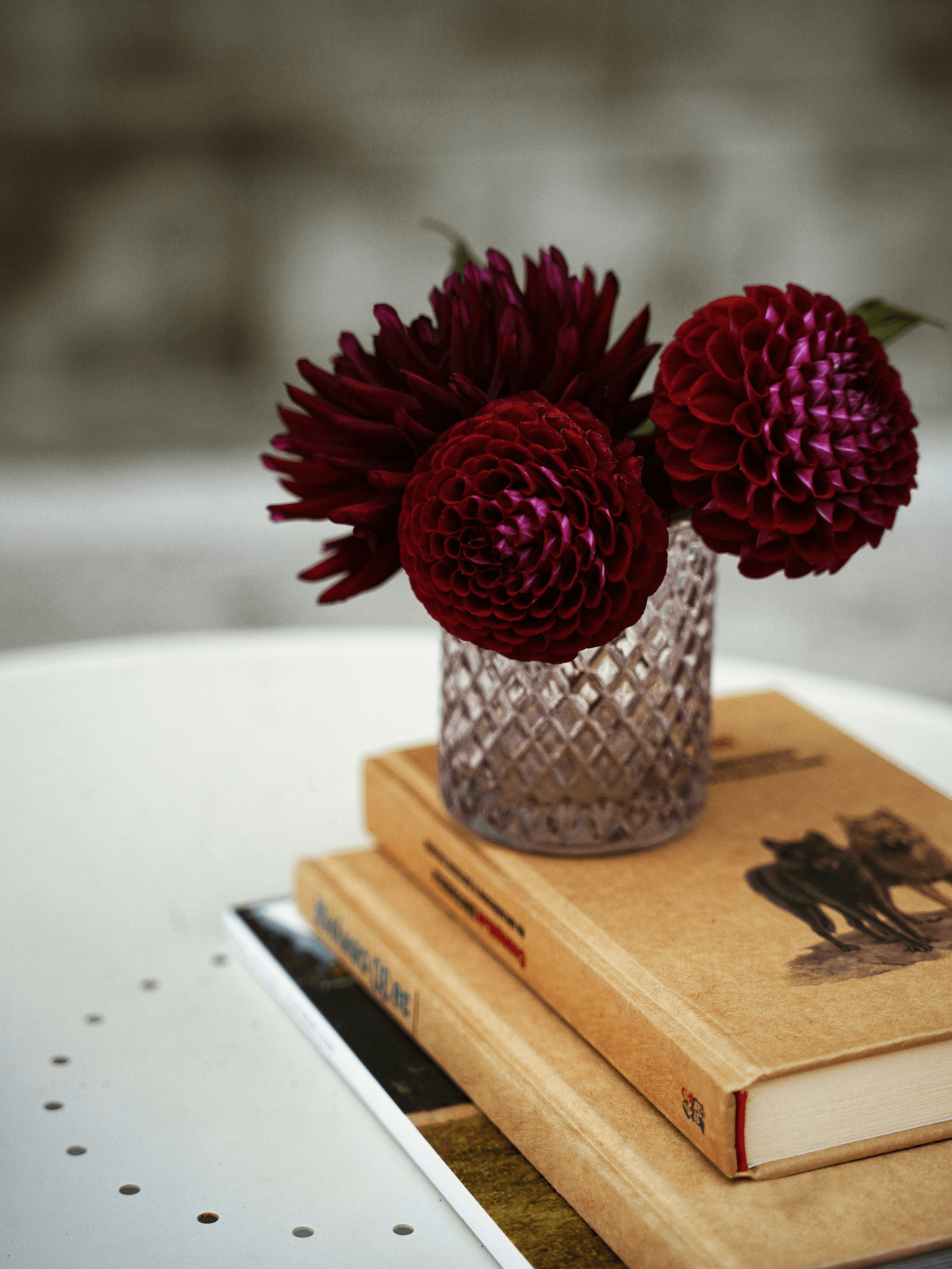 Preserved dahlia arrangement adding natural beauty to home decor