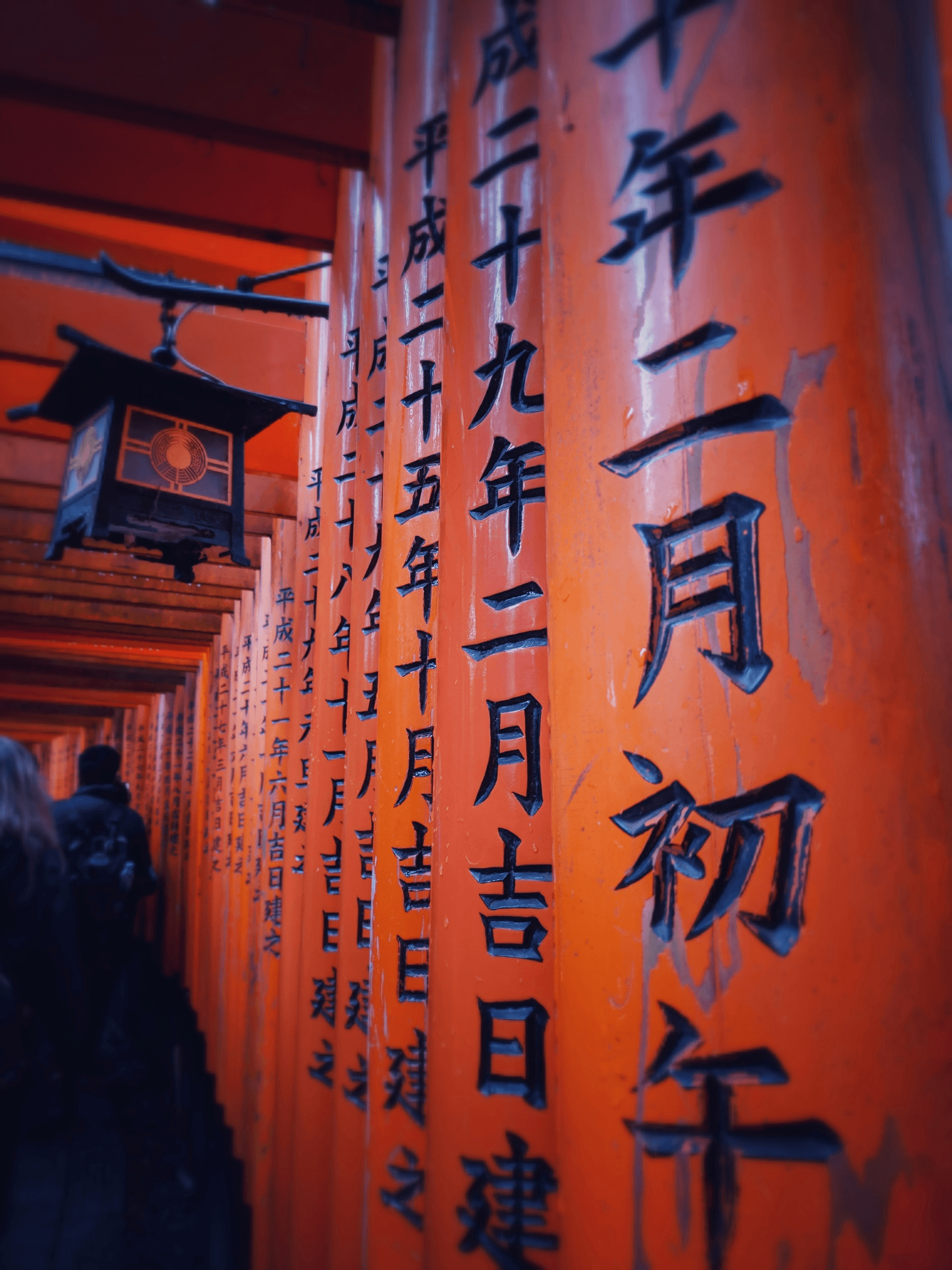 Our cultural exchange programs provide students with the opportunity to immerse themselves in the rich traditions and diverse lifestyles of East and South Asia. Participants engage directly with local communities, enhancing their global awareness and intercultural communication skills. Cultural Exchange Programs What We Offer Website to promote a high school program that involves cultural exchange, educational travel, and experiential learning in East and South Asia.