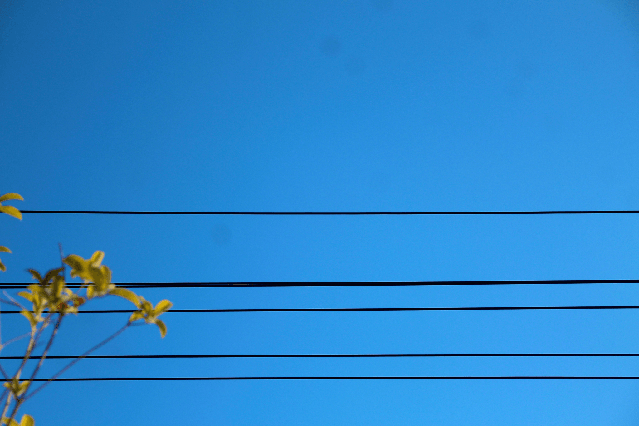 Enhancing Power Line Safety with Line Guards and Armor Rods