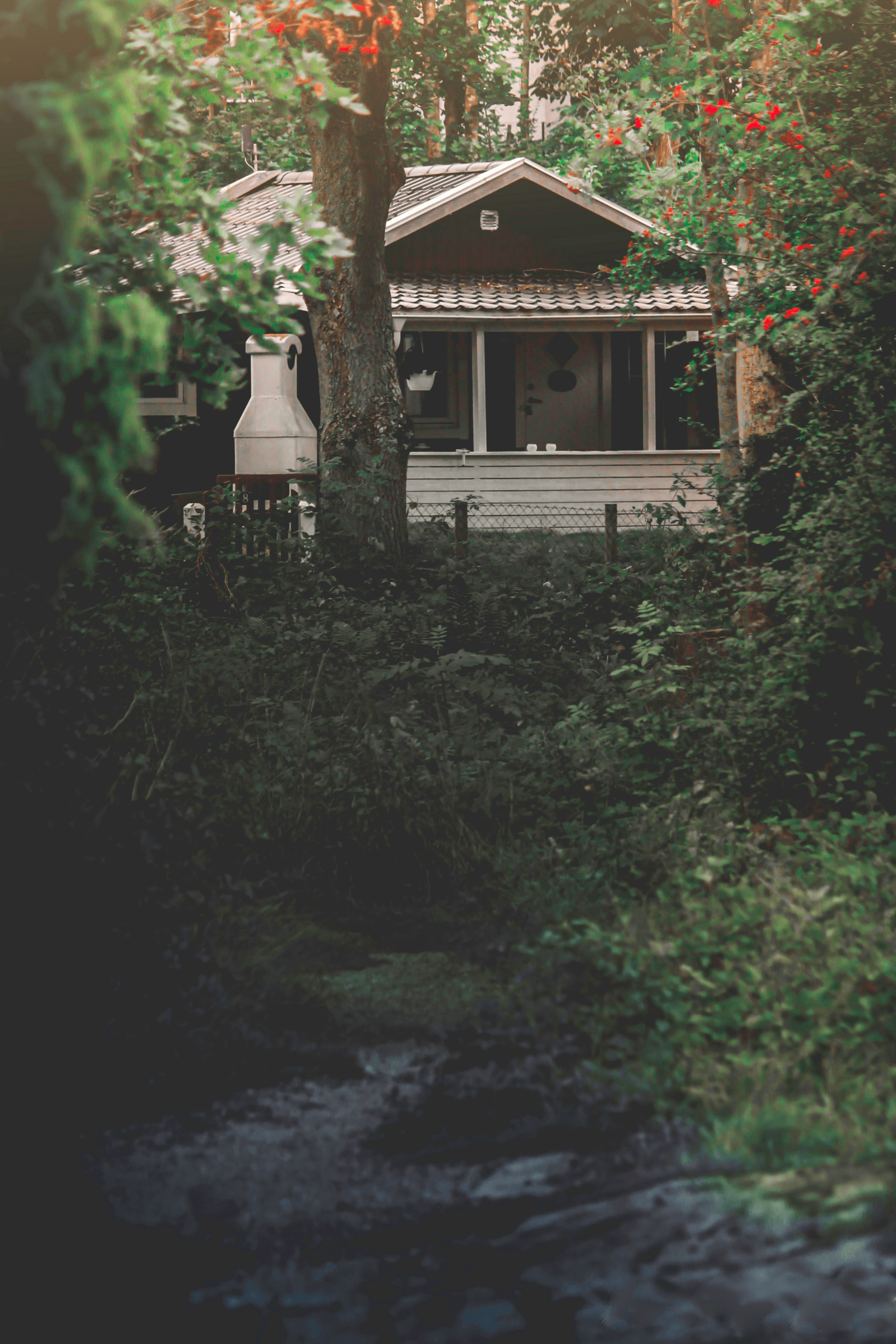 Explore affordable pre built cabins under $50 000 in beautiful settings.