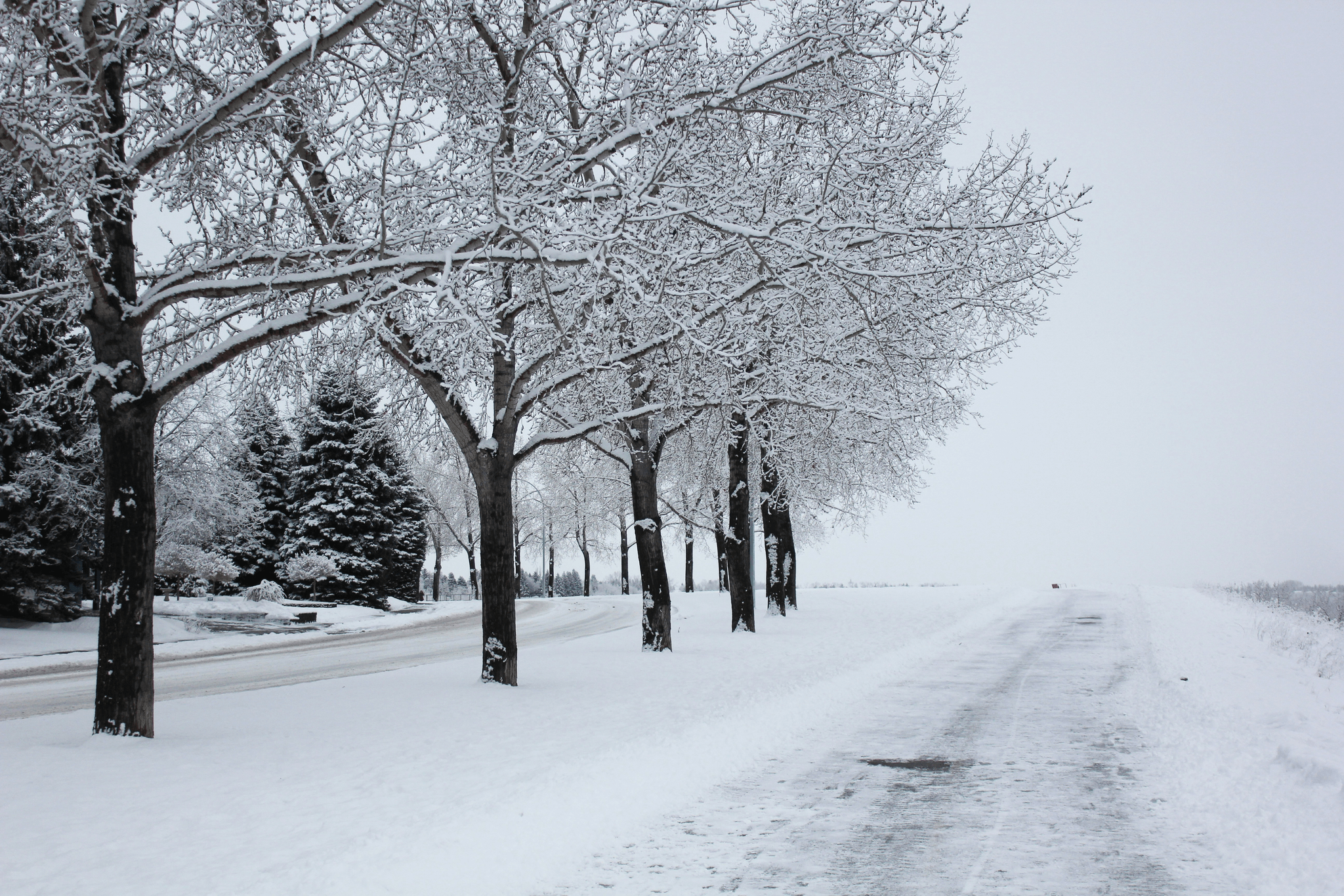 Efficient big snowblower clearing heavy snowfall.