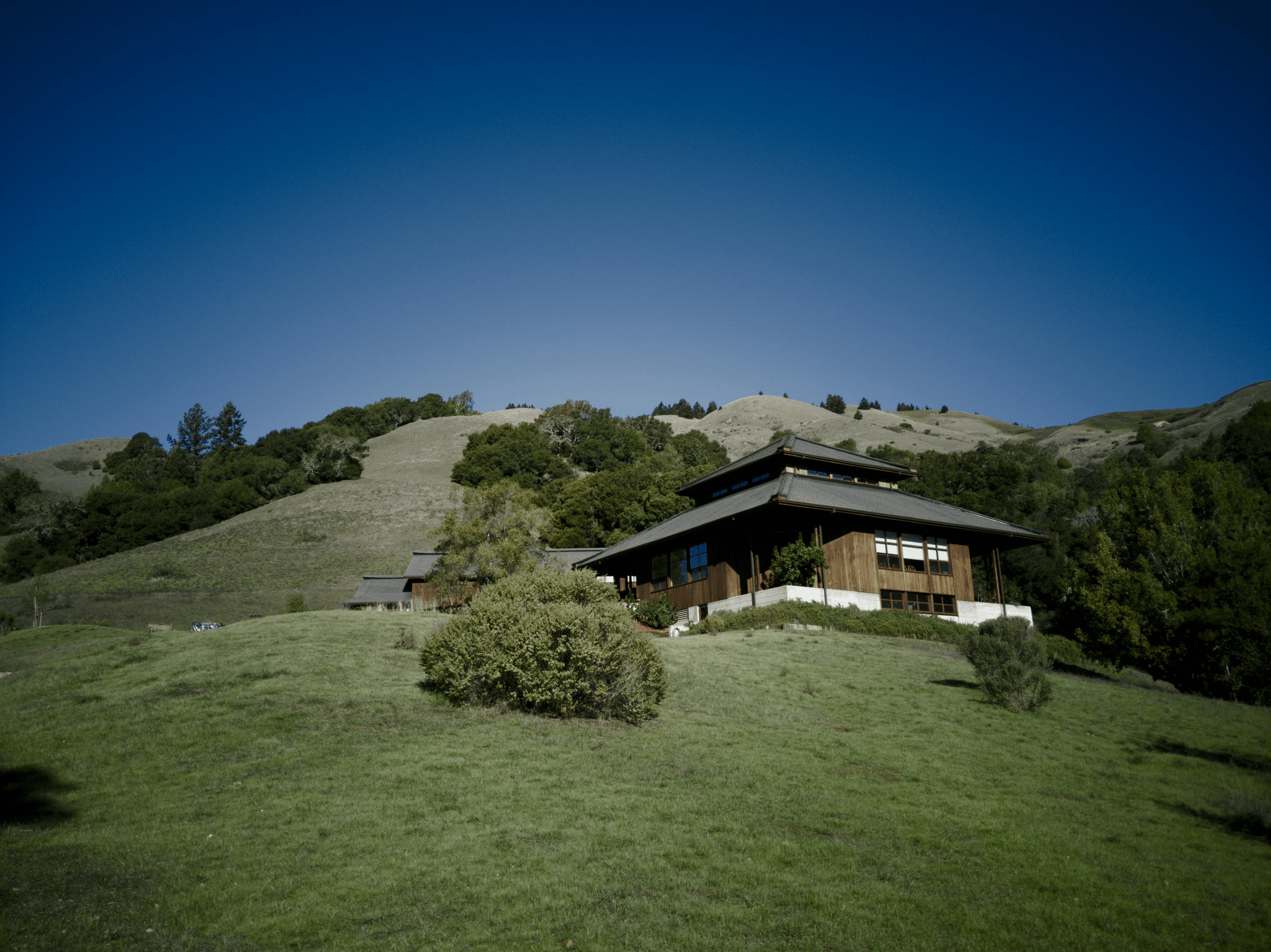 Luxurious Cedar Ridge Storage Cabins amidst nature