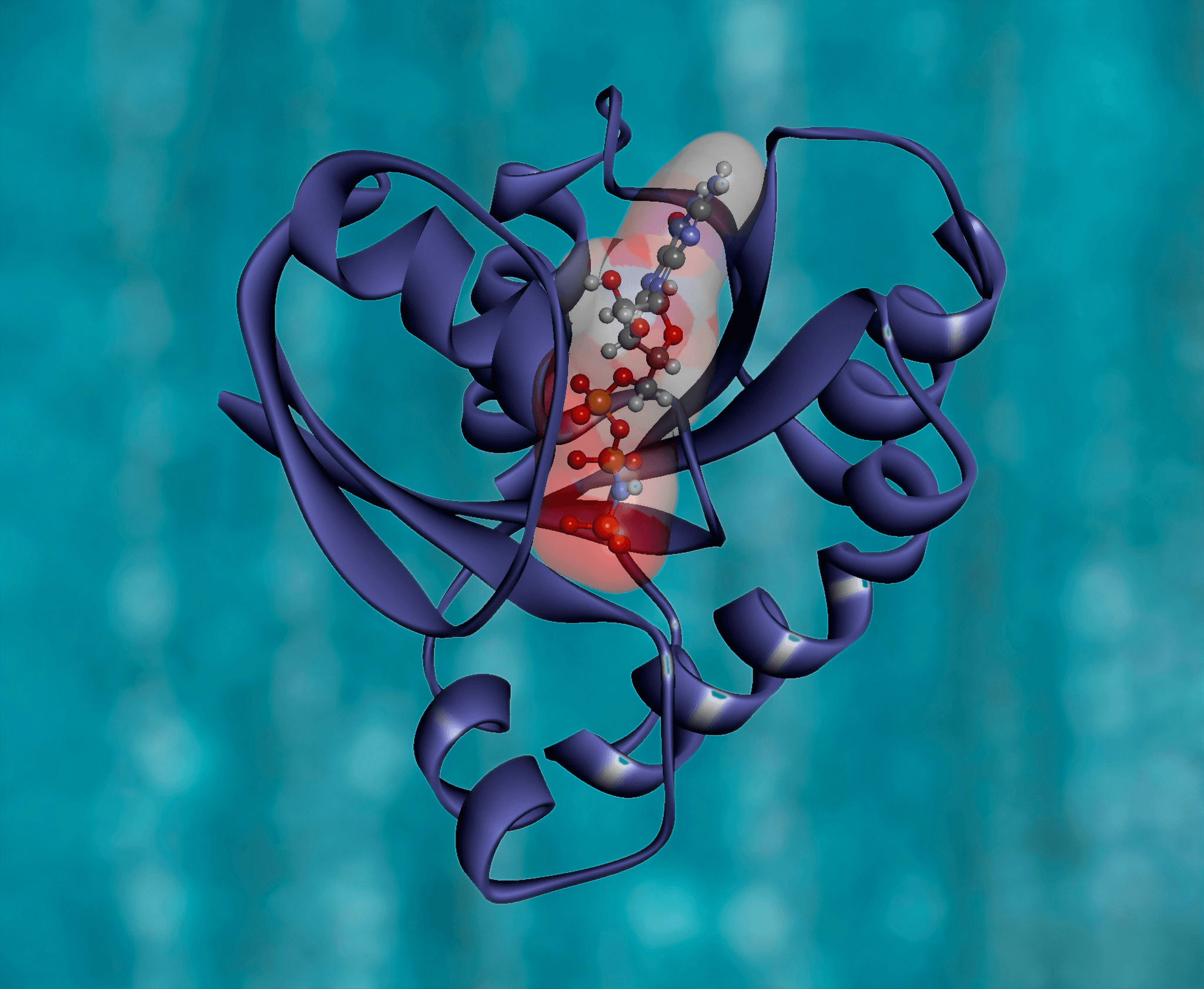 Antioxidant mechanism