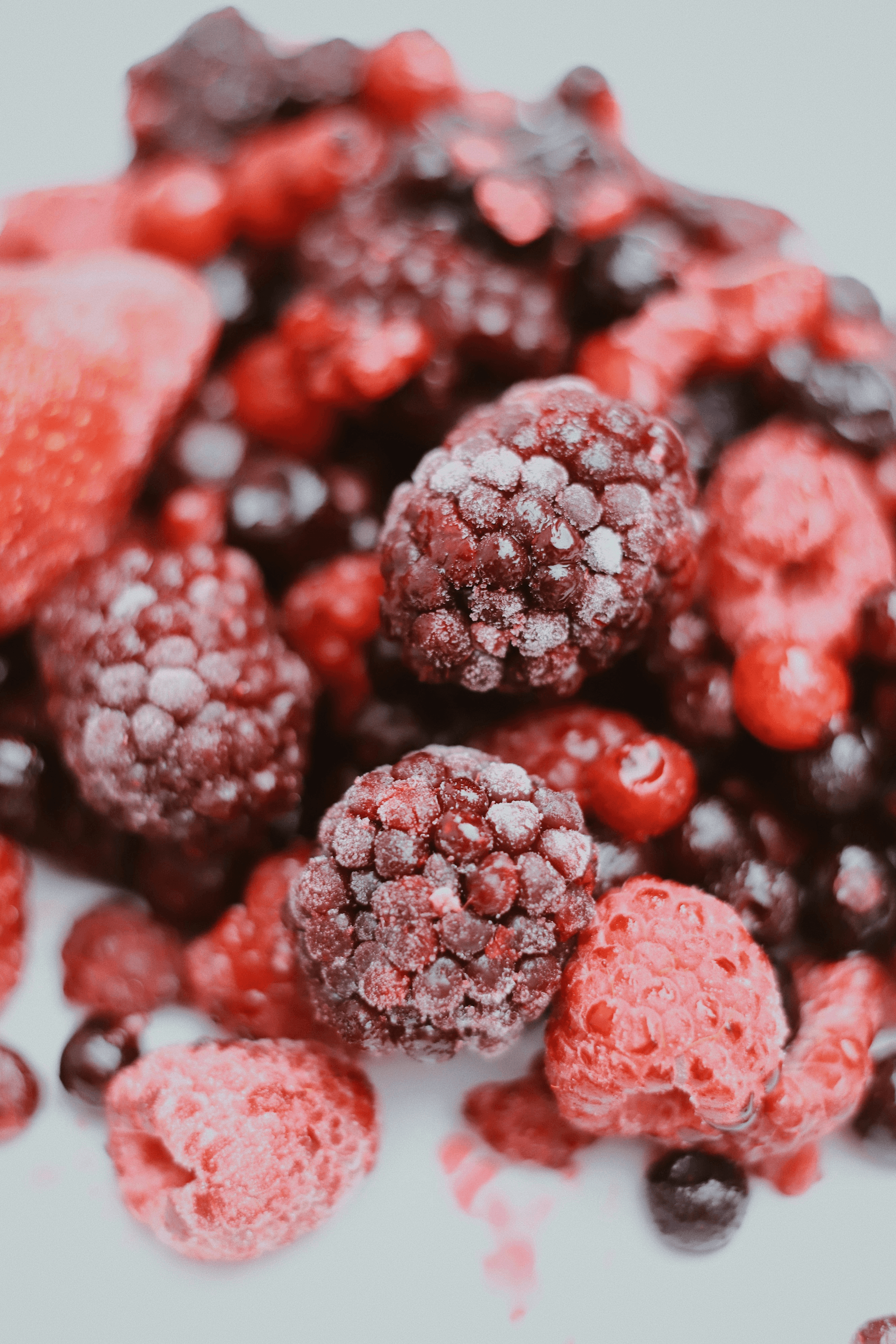 High-quality image showcasing freeze dried raspberries wholesale options.