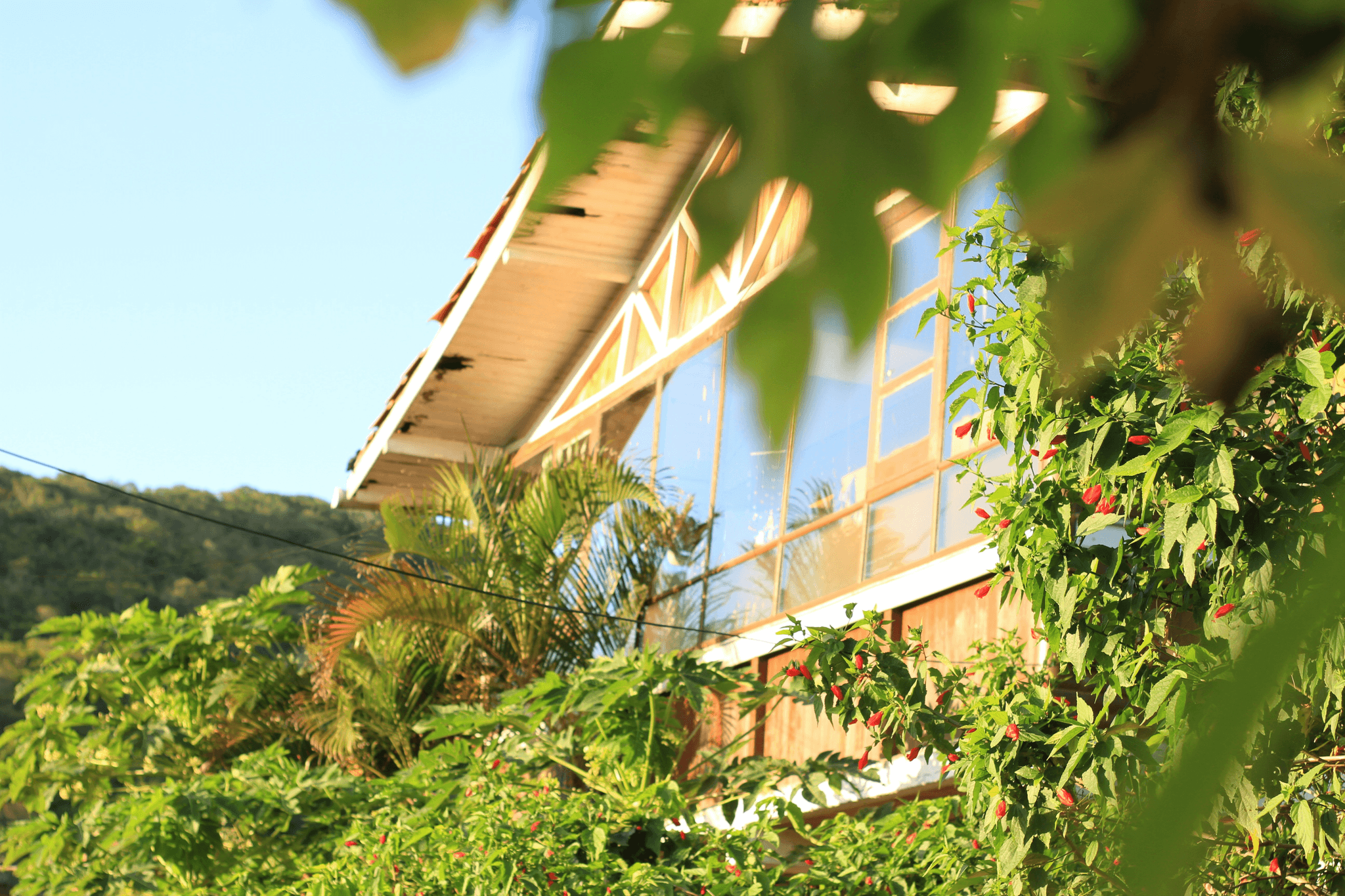 biophilic design in container house resort