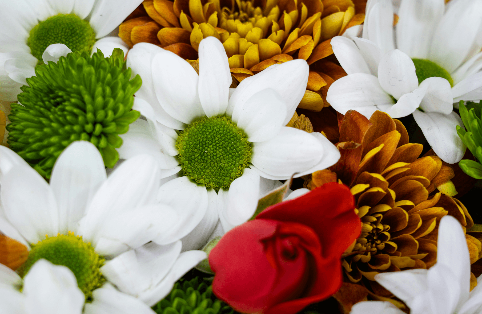 In-season autumn wedding flowers