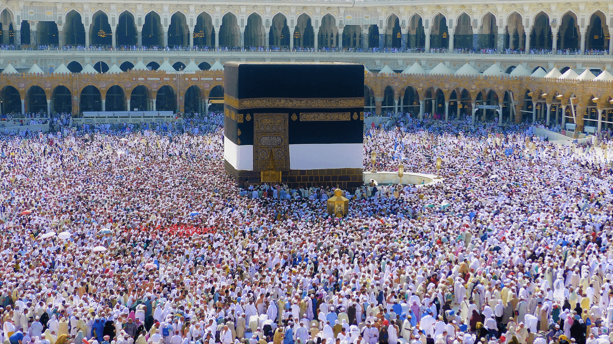 Buku Rekod Rawatan Digital dan Suntikan Vaksin Wajib untuk Jemaah Haji Tahun 2025