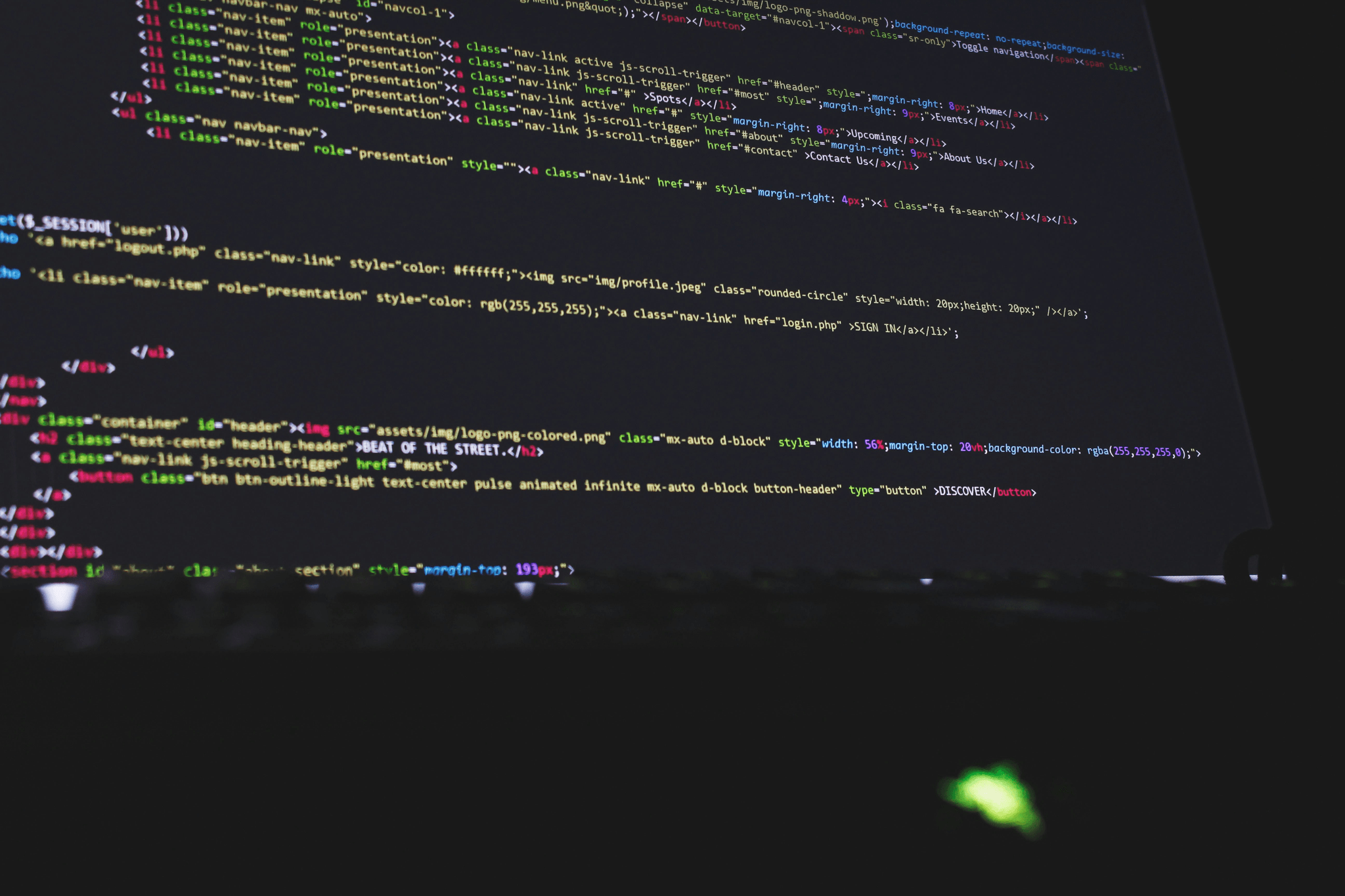 Professional web developer customizing an ecommerce website