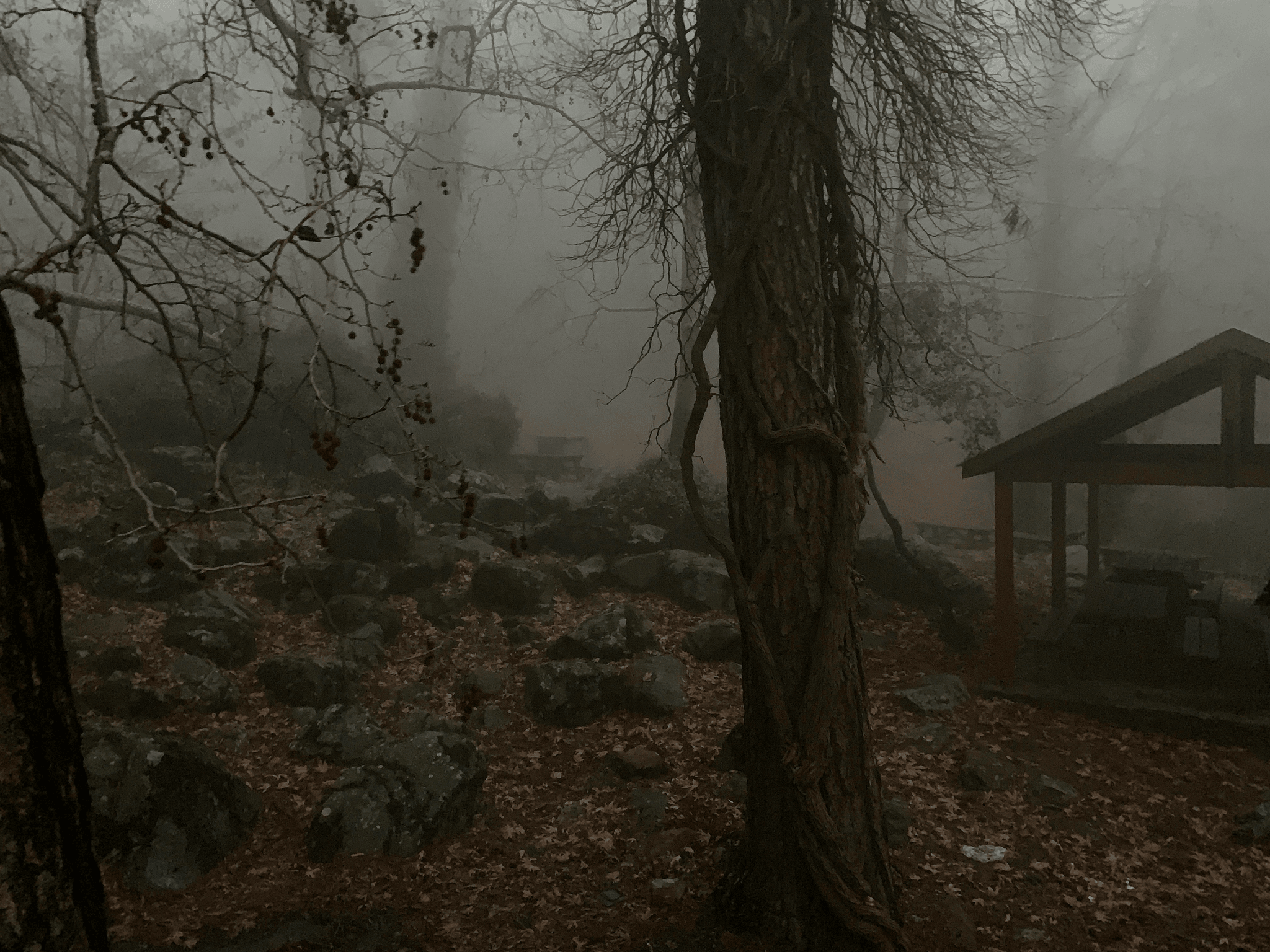 Explore apple cabin haunted house's chilling history through its haunting legends.