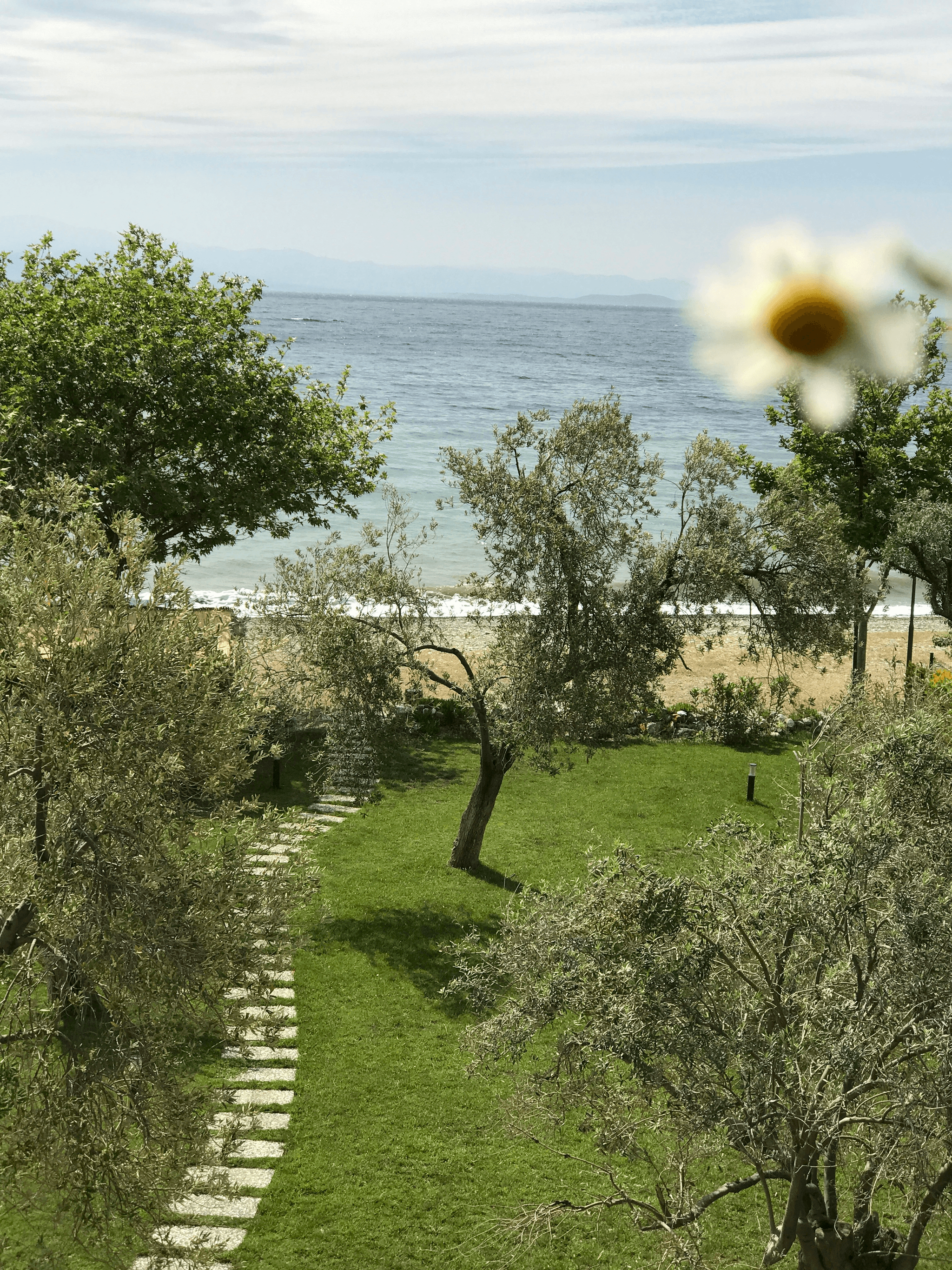 Discover Eco-Friendly Packaging for Your Business Embrace Sustainable Solutions Verda delivers dependable, eco-friendly packaging solutions designed for modern food and retail businesses. As a Texas-based, veteran-owned supplier, we specialize in biodegradable and compostable materials that help restaurants, cafés, and retailers transition to sustainability with ease. Our products combine durability, style, and responsible sourcing—giving businesses the performance they need without the supply-chain challenges of traditional single-use alternatives. With Verda, sustainability becomes a seamless part of everyday operations.