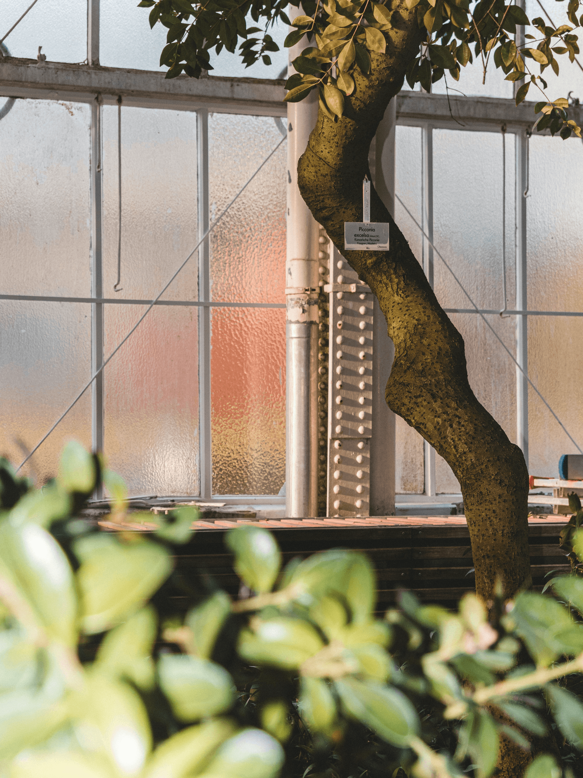 SSOURCING INC. - Your trusted sourcing partner for 10+ years. We connect businesses with vetted, reliable suppliers worldwide.