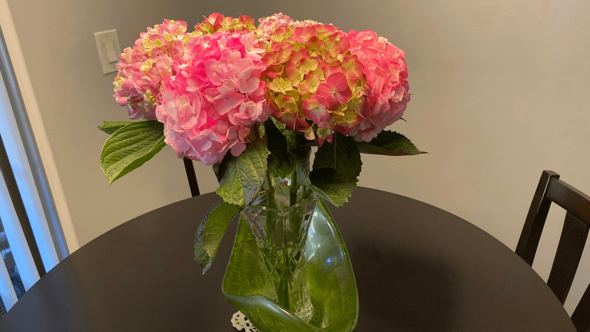 Stunning arrangement of pink and green dried hydrangeas