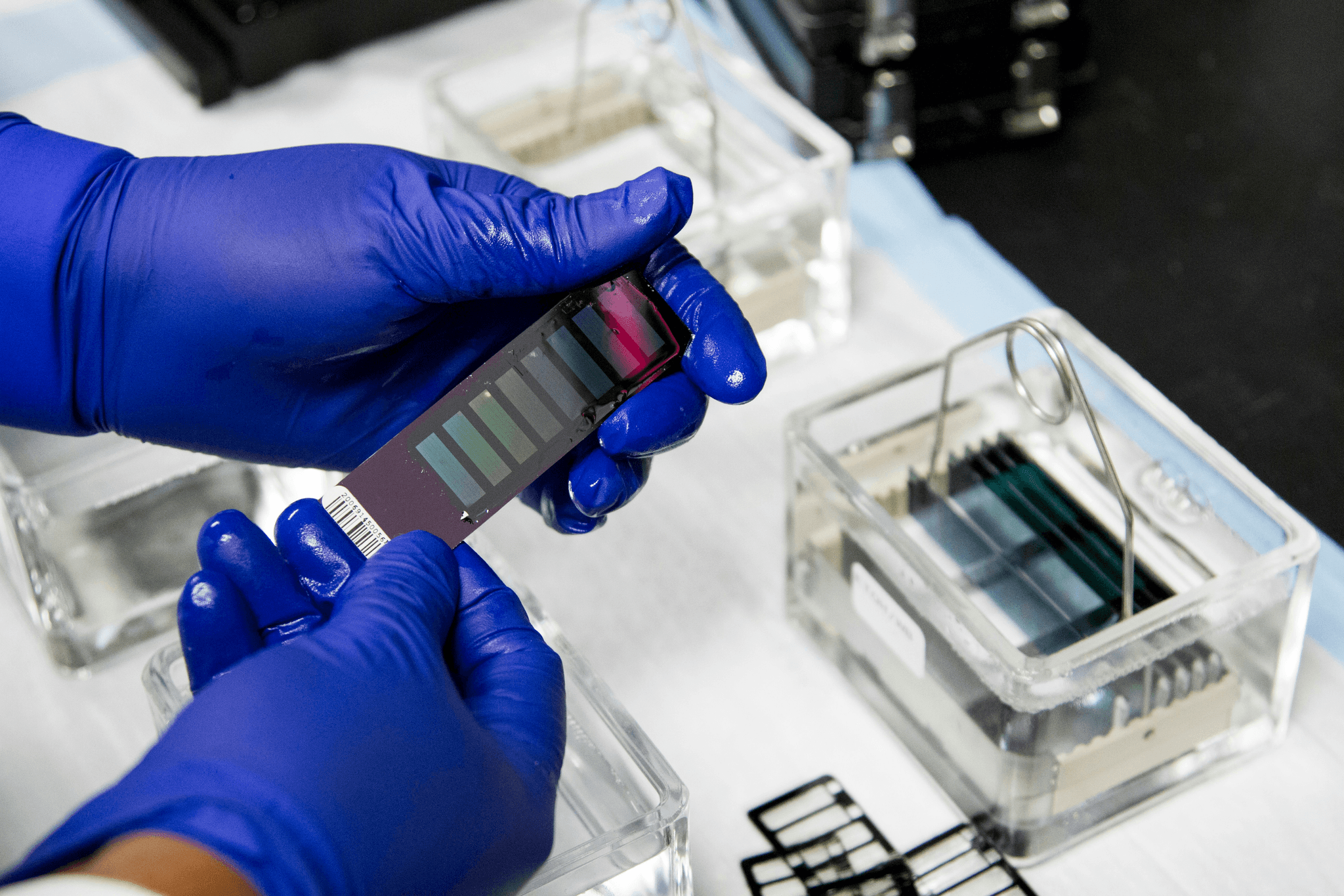 Pet Products Quality Control: Pull Test on Pet Toy