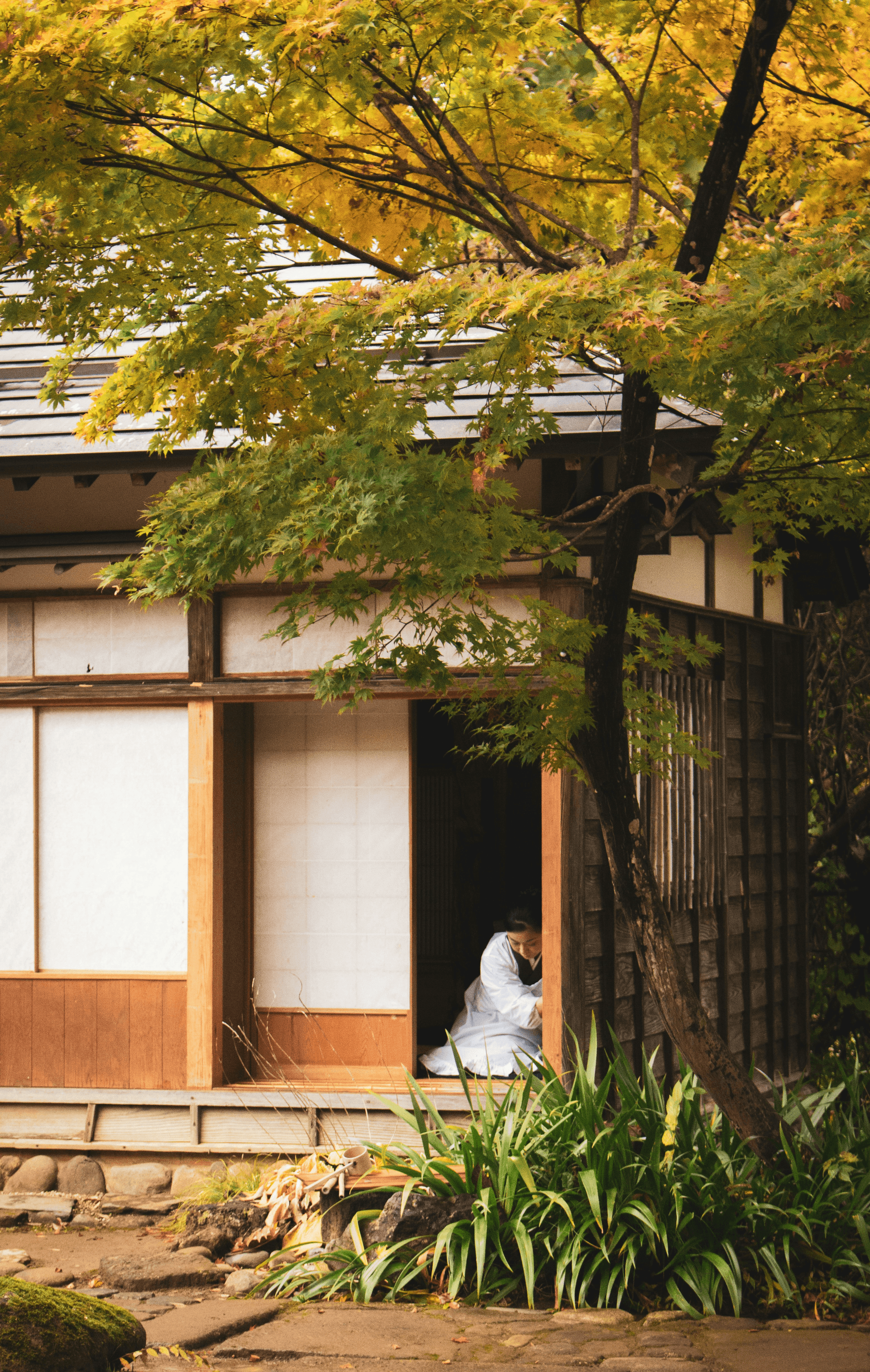 日本香道入門指南：初學者必備的香具與基本禮儀｜《日本香遊》香の小學堂｜療寮生活館