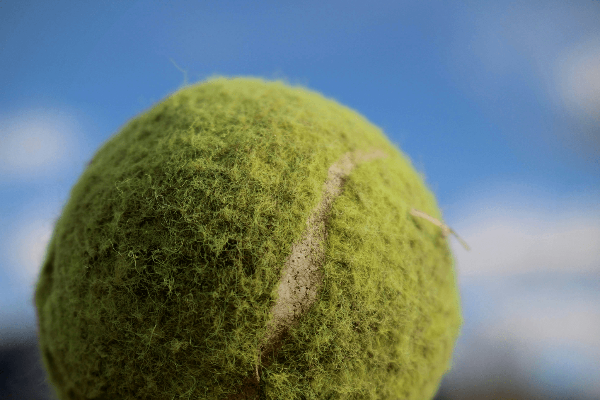 Tennis Ball Inspection process showing visual quality check