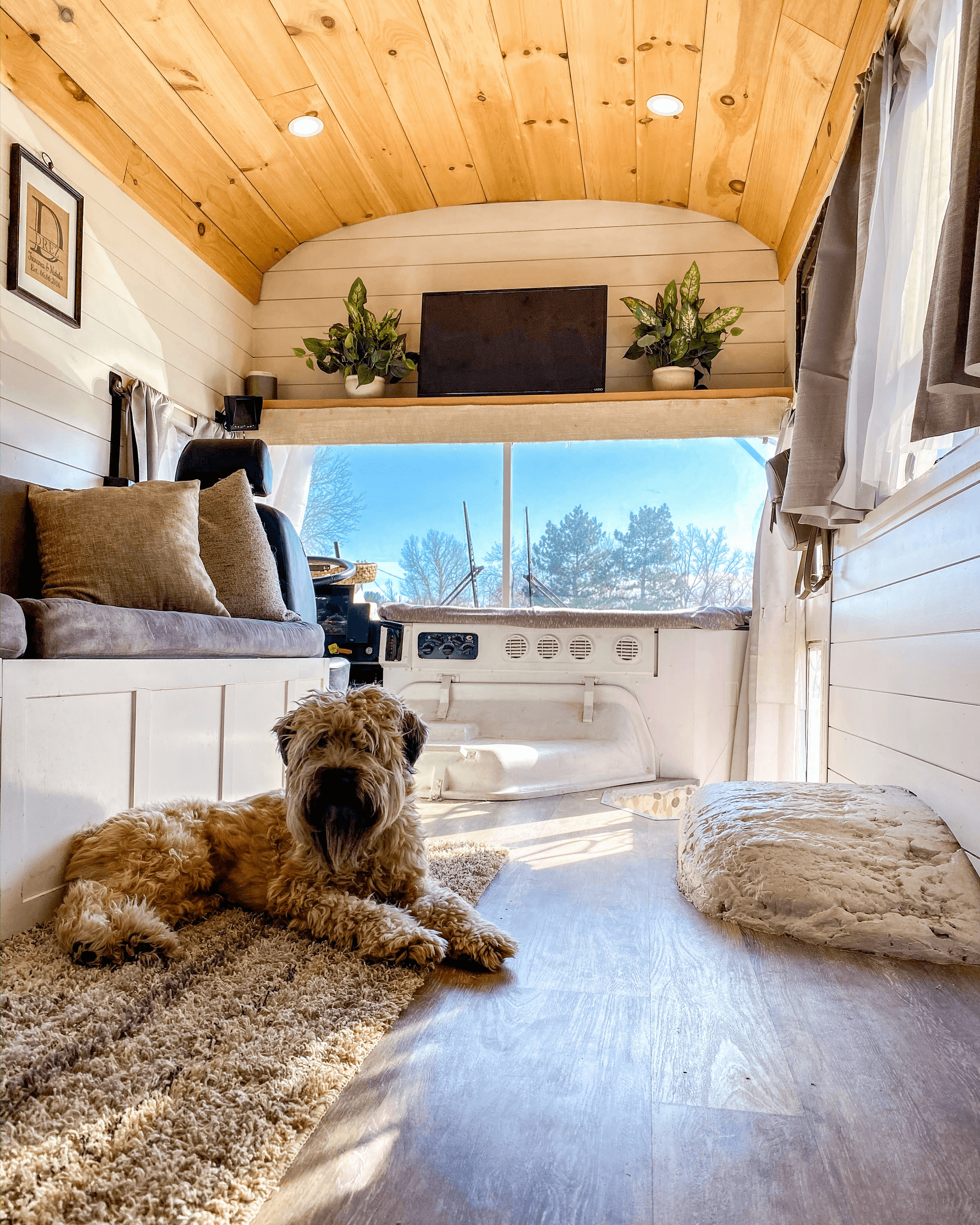Cheap Tiny Homes for Sale - Cozy Tiny Home