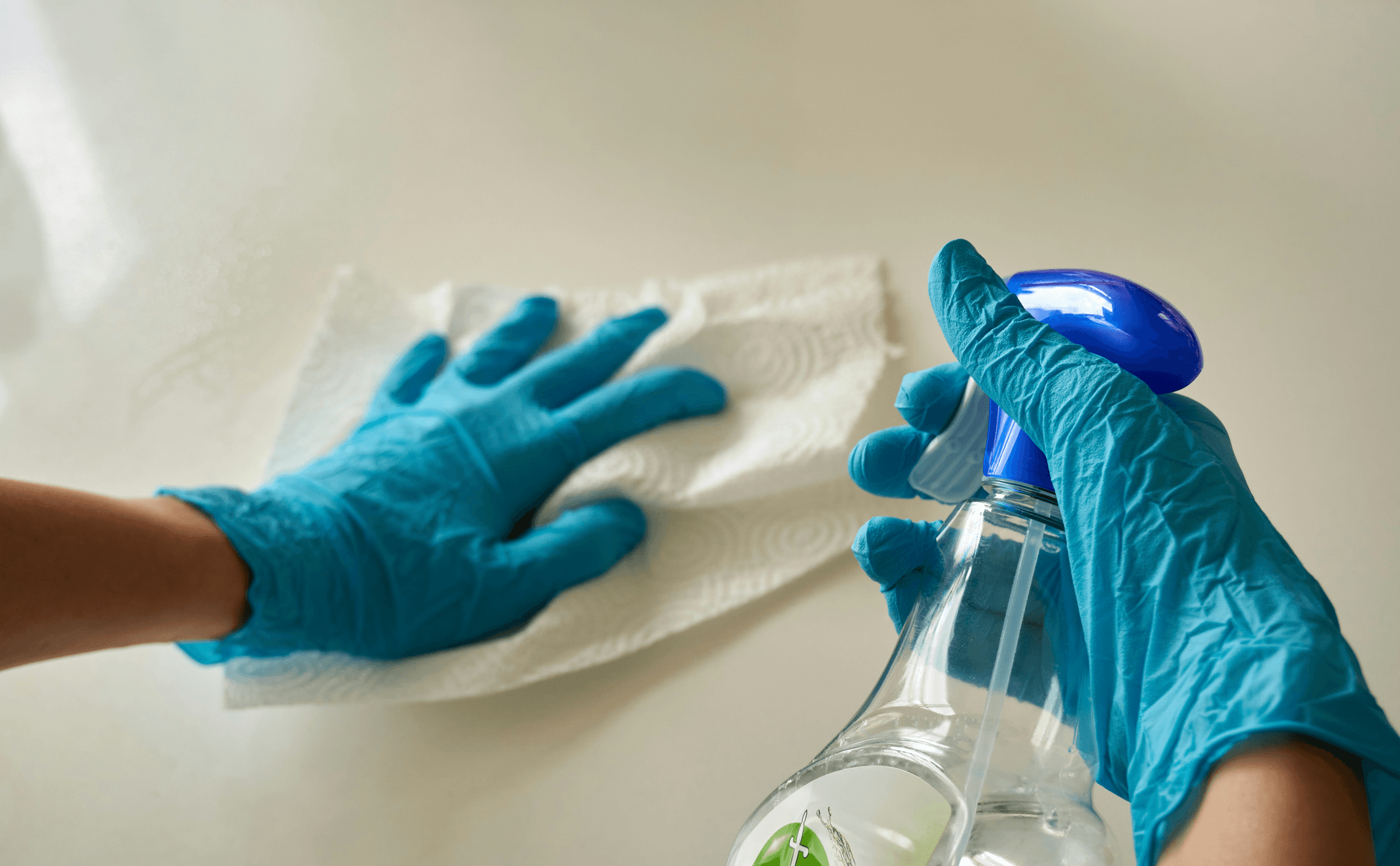 At Maintenance Team Solutions, we believe that every business has unique cleaning needs. Our team works closely with clients to develop personalized cleaning plans that align perfectly with their operational requirements and industry standards, ensuring a spotless and welcoming environment. Customized Cleaning Plans Our Services Business Overview

Maintenance Team Solutions, operating under the domain mtsorlando.com, specializes in providing personalized cleaning plans tailored to a variety of sectors, including:

Office environments

Industrial and commercial facilities

Hospitality venues (e.g., hotels)

Car dealerships

Schools (including school cleaning services) 
mtsorlando.com
mtsorlando.com
+2
mtsorlando.com
+2

Service Area & Contact Details

Primary Location: Based in Orlando, Florida, with their business registered at 10450 Turkey Lake Rd #691204, Orlando, FL 32869 
SunBiz
.

Service Coverage: The company serves multiple states—Florida, Georgia, and Alabama 
mtsorlando.com
+1
.

Contact Info:

Phone: (407) 668-2803

Email: ms@mtsorlando.com