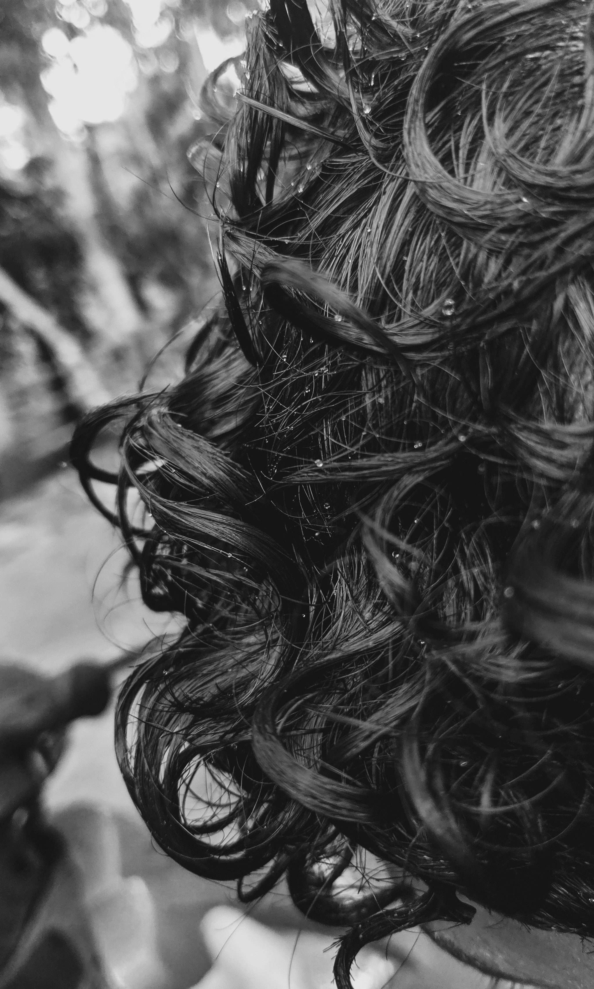 difference between 4b and 4c hair styles comparison