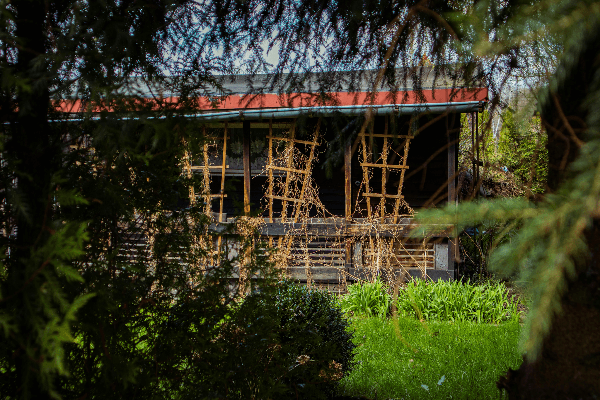 prefab cabins under 50k transformation stories