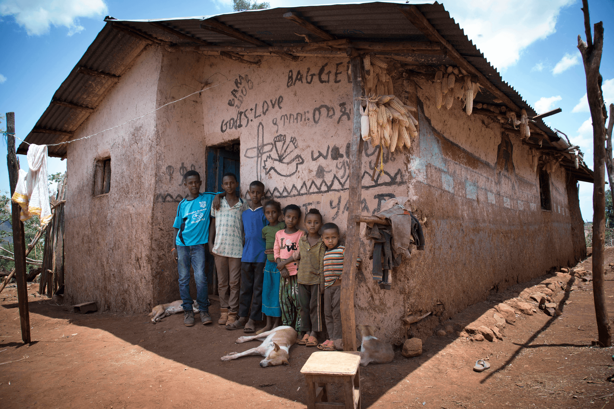 Mobile house price: Diverse neighborhood with affordable housing options