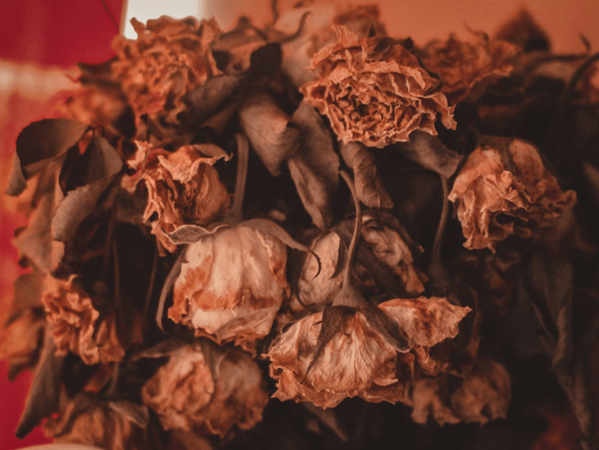 Cat-safe dried flowers bouquet