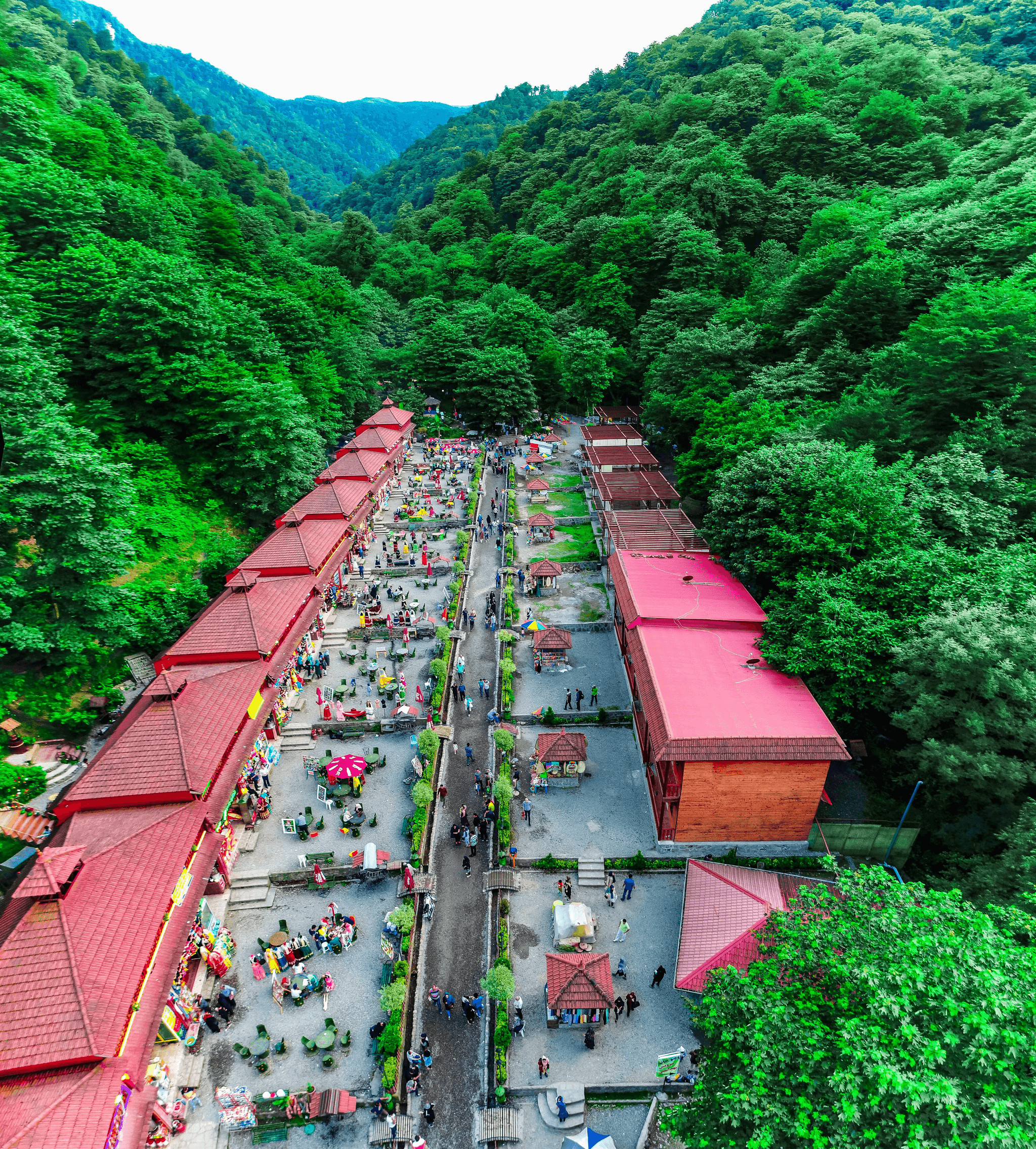 Exploring asian sources for innovation and collaboration