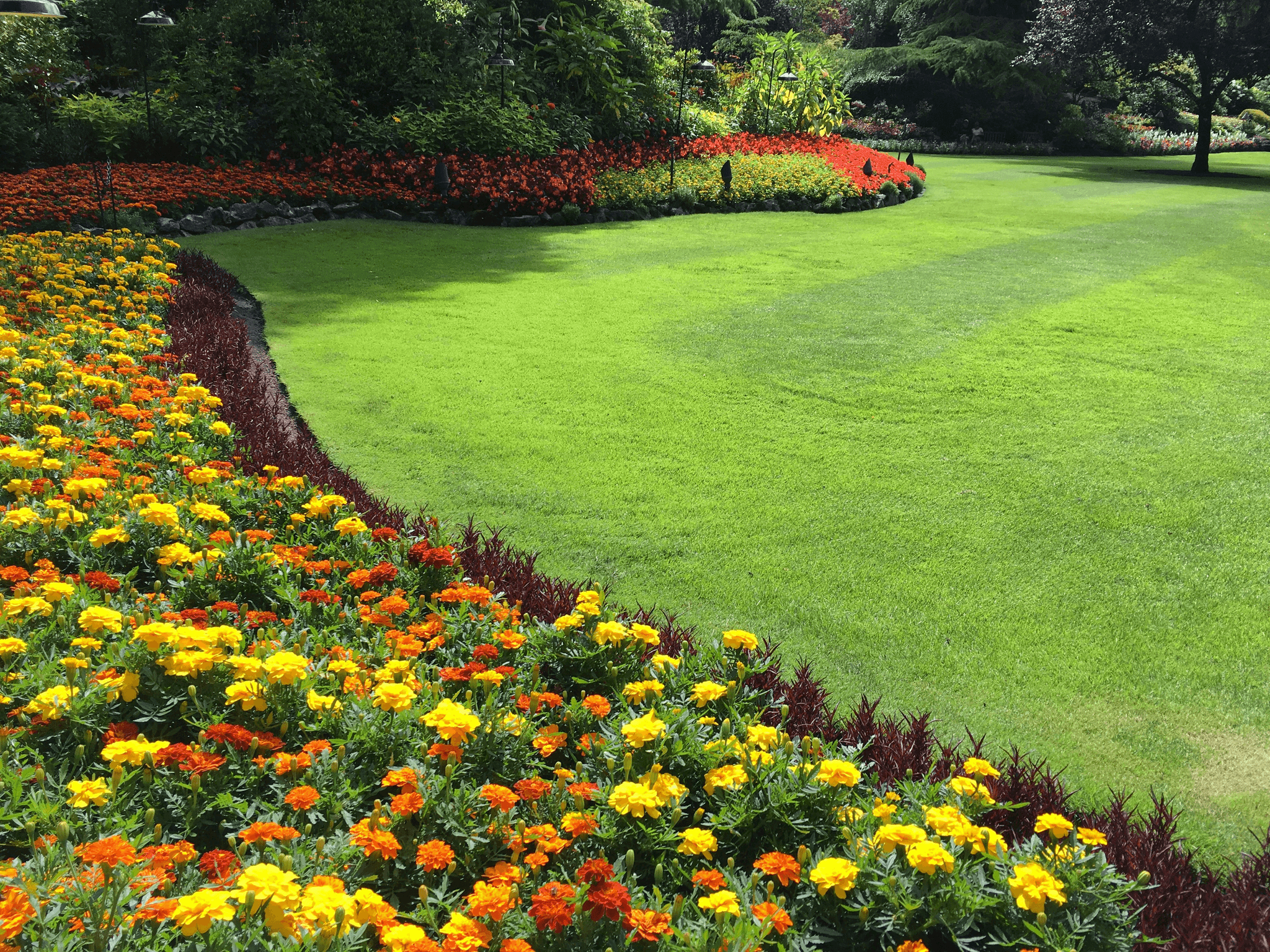 Beautifully landscaped garden showcasing stunning landscaping work on a professional website