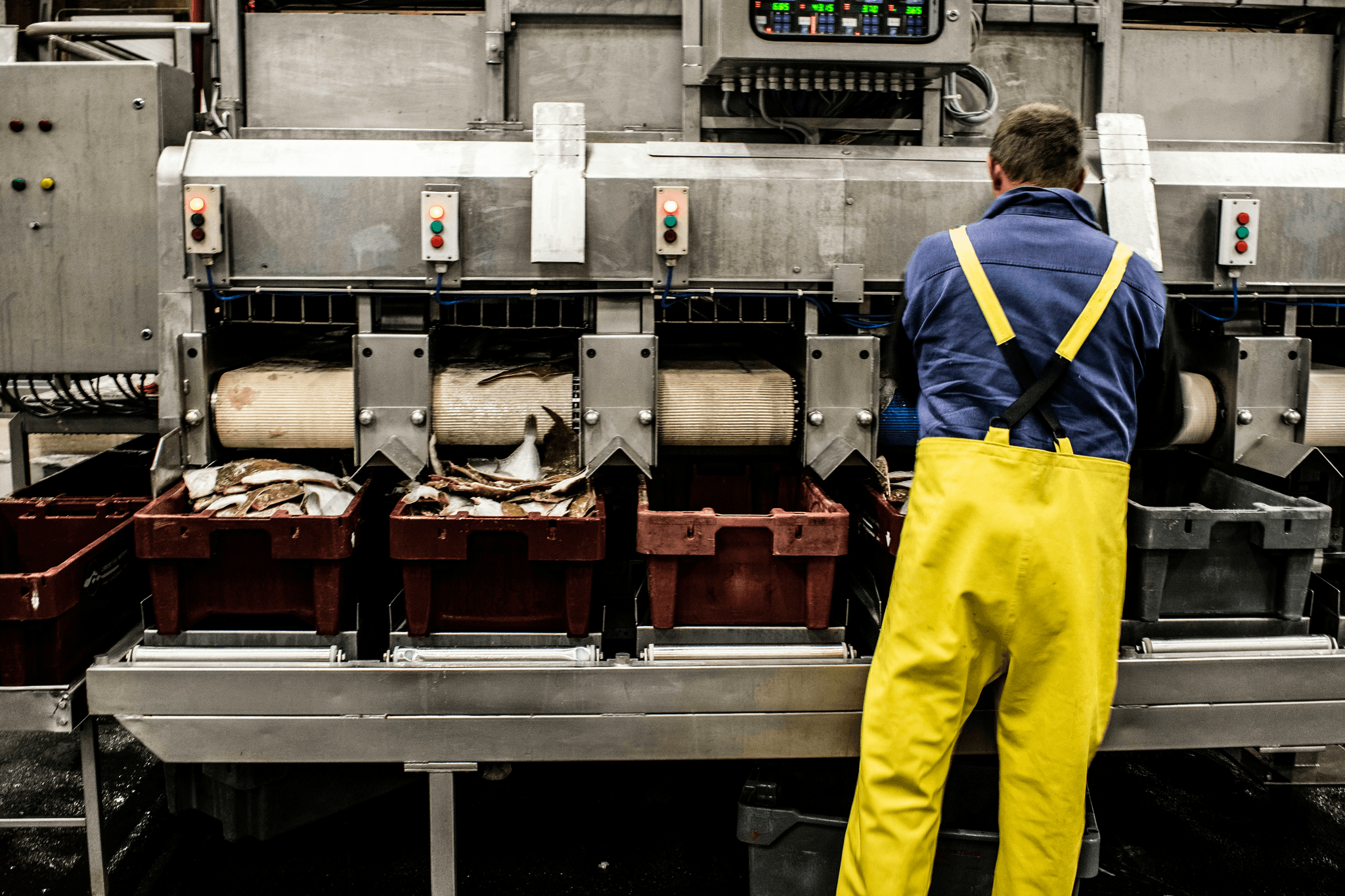 Seafood inspection China for pre-shipment quality assurance