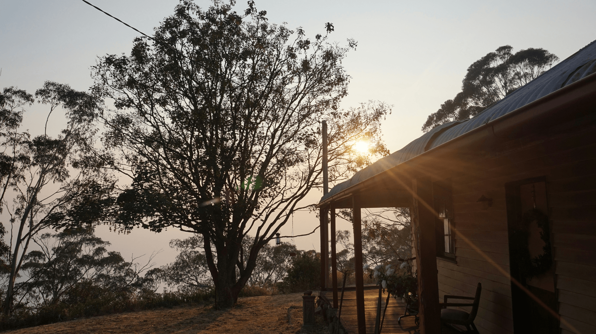 Cozy Rustic Apple Cabin Retreat nestled among trees