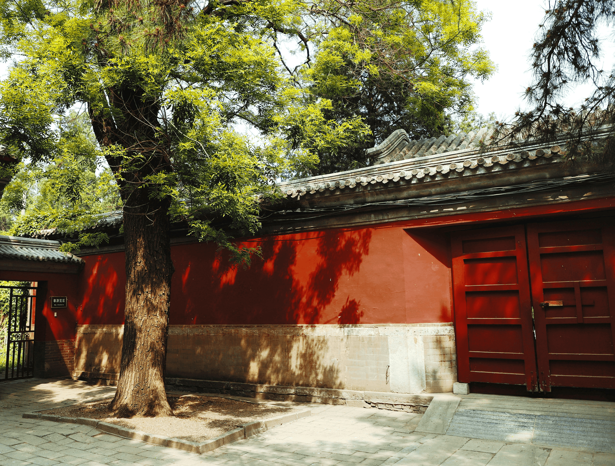 抓周儀式的由來與意義｜一歲寶寶的第一個人生儀式｜場地租借FAQ｜療寮生活館｜江子翠．板橋 活動場地 藝文空間