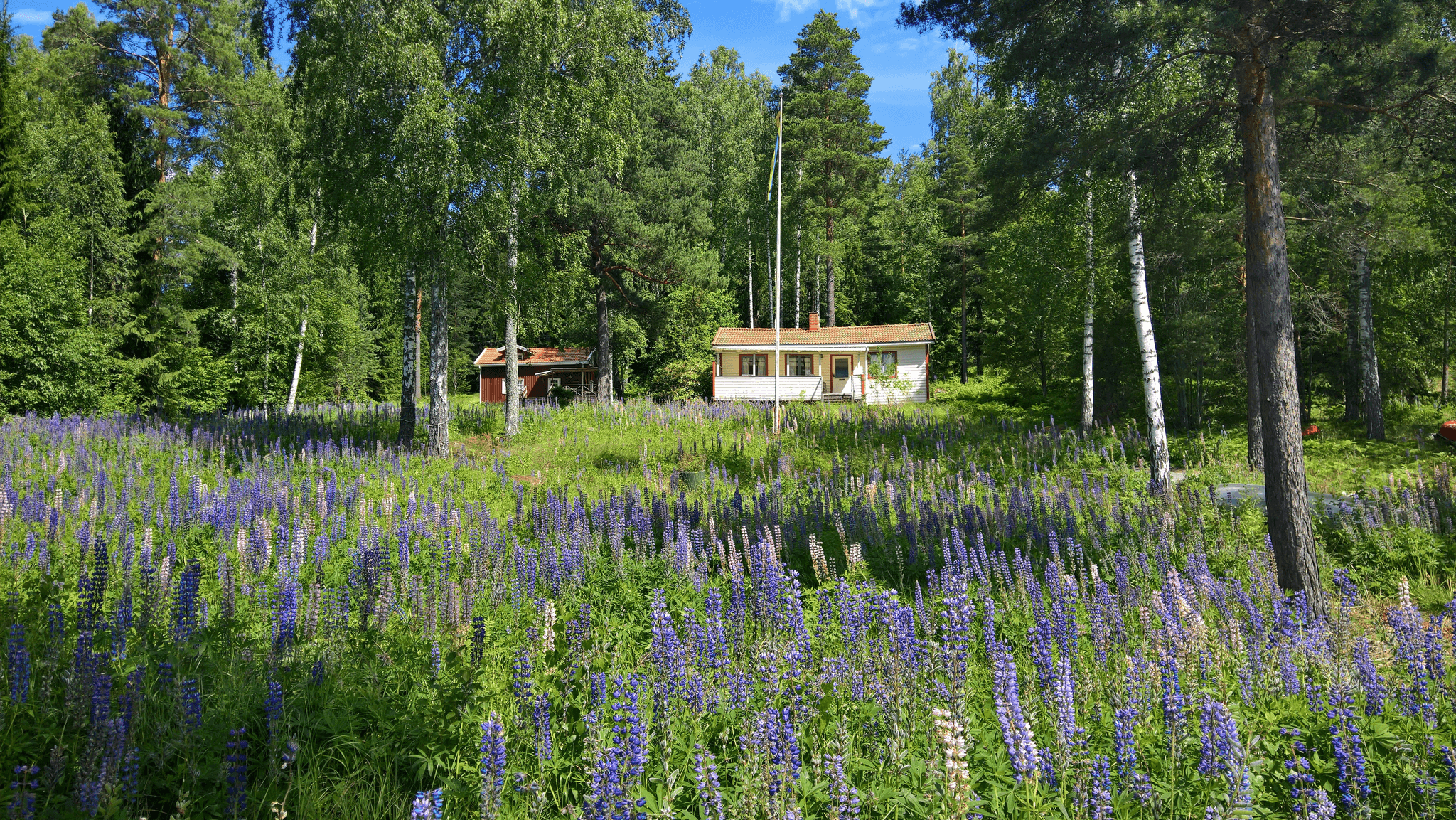 tiny cabins near me nestled in nature