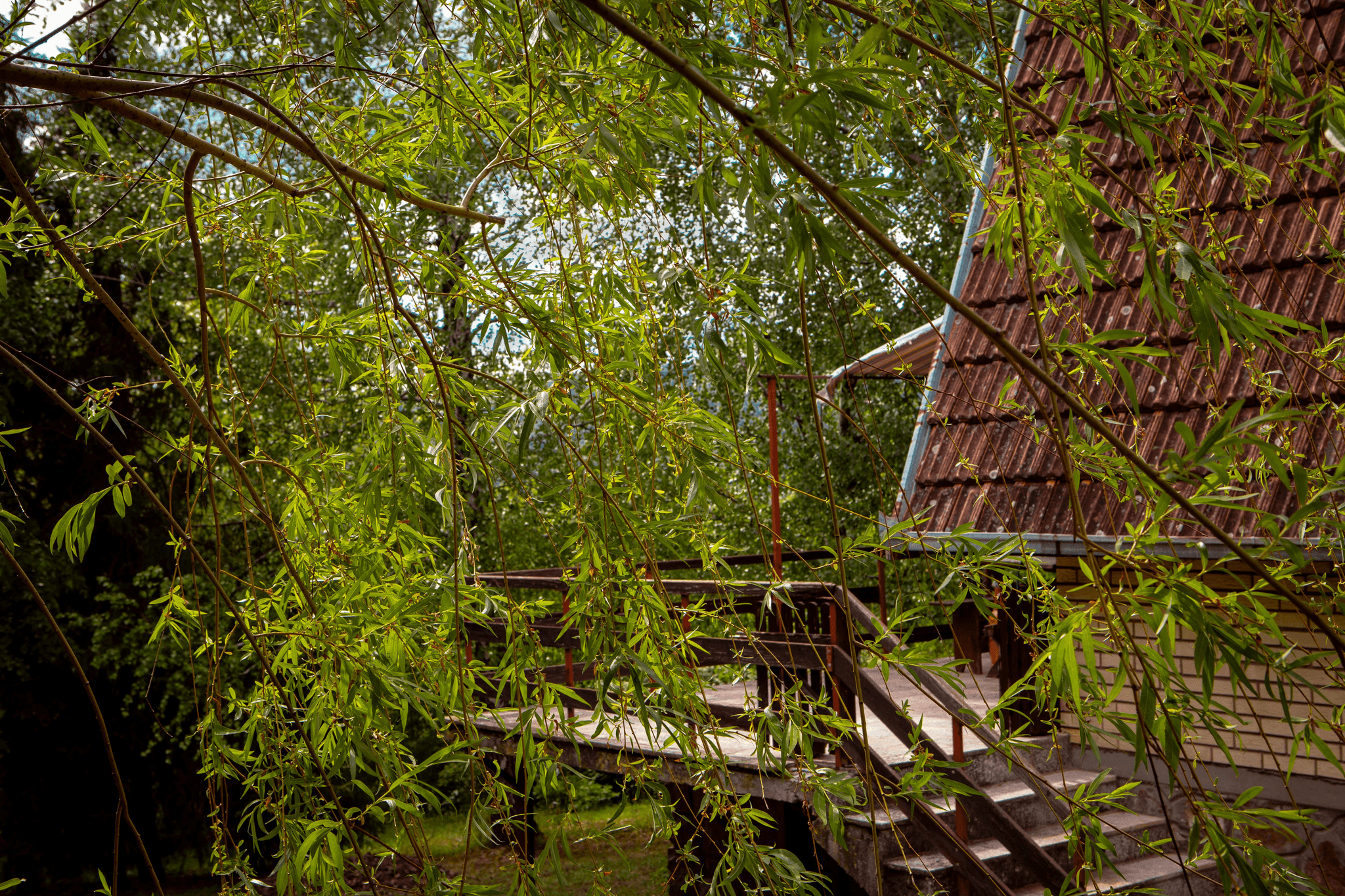 Eco-friendly features in expanded cape house plans