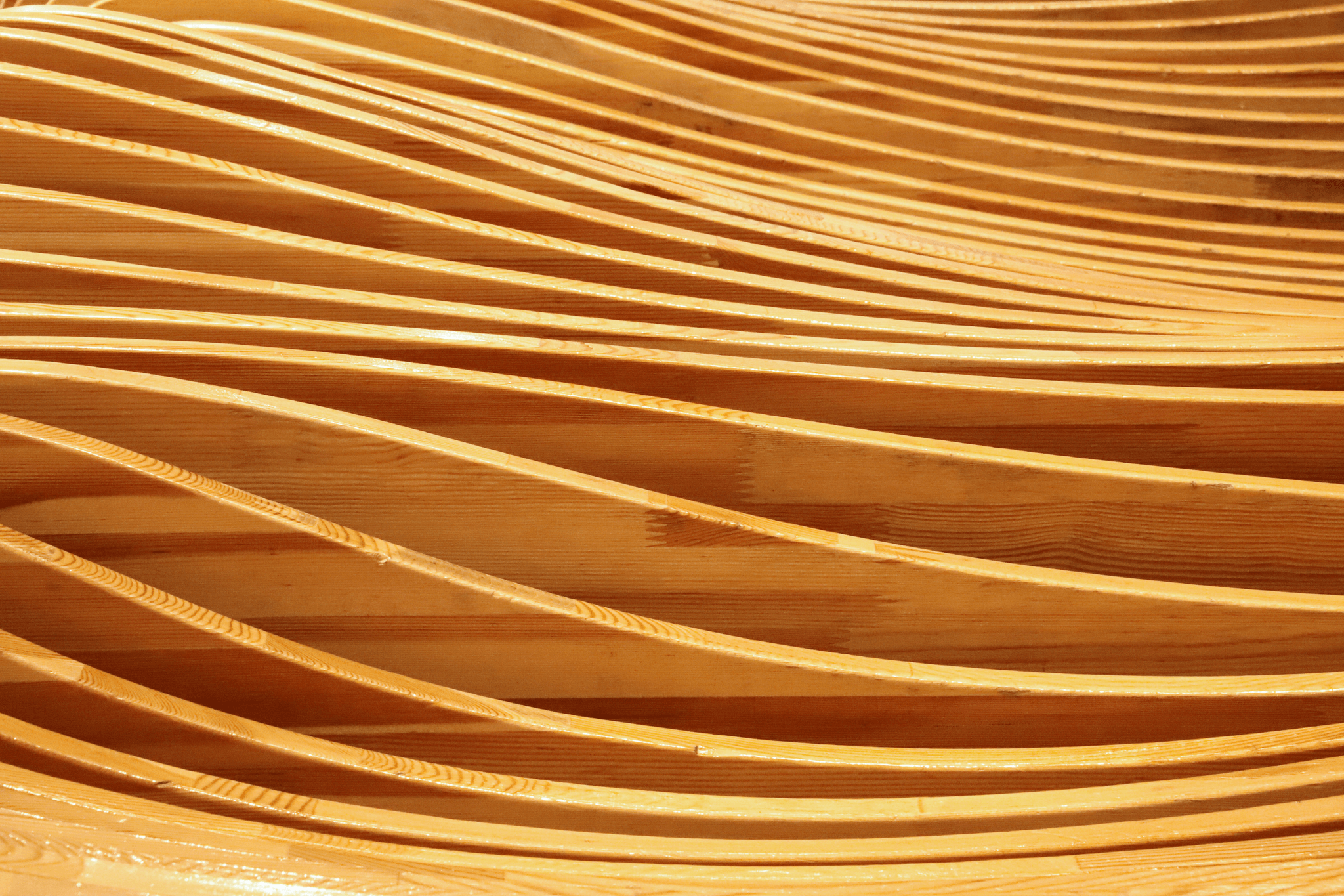 Examples illustrating different types of Wood Warping