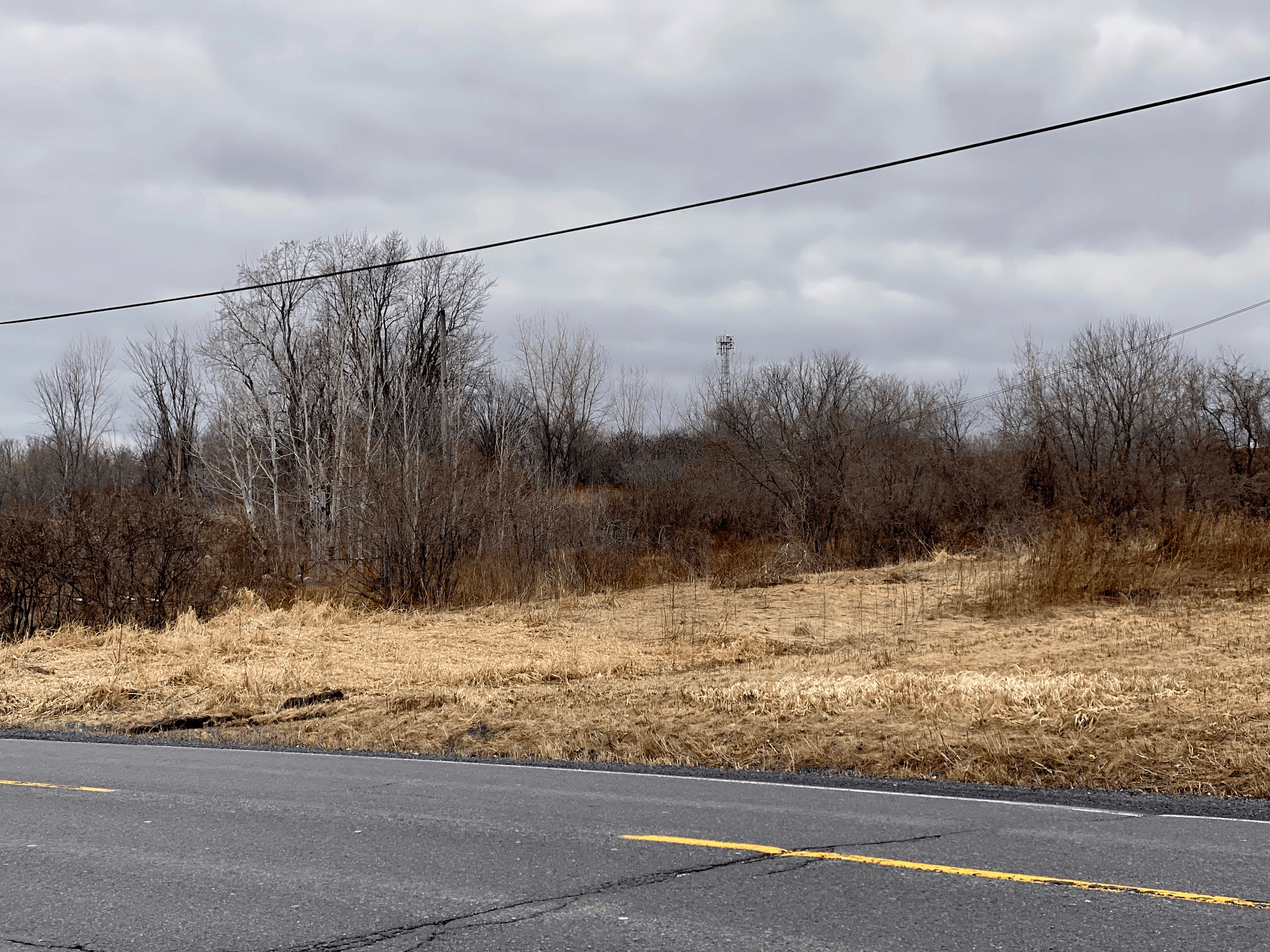 Choosing the Perfect Plot of Land for Shipping Container House Cheap