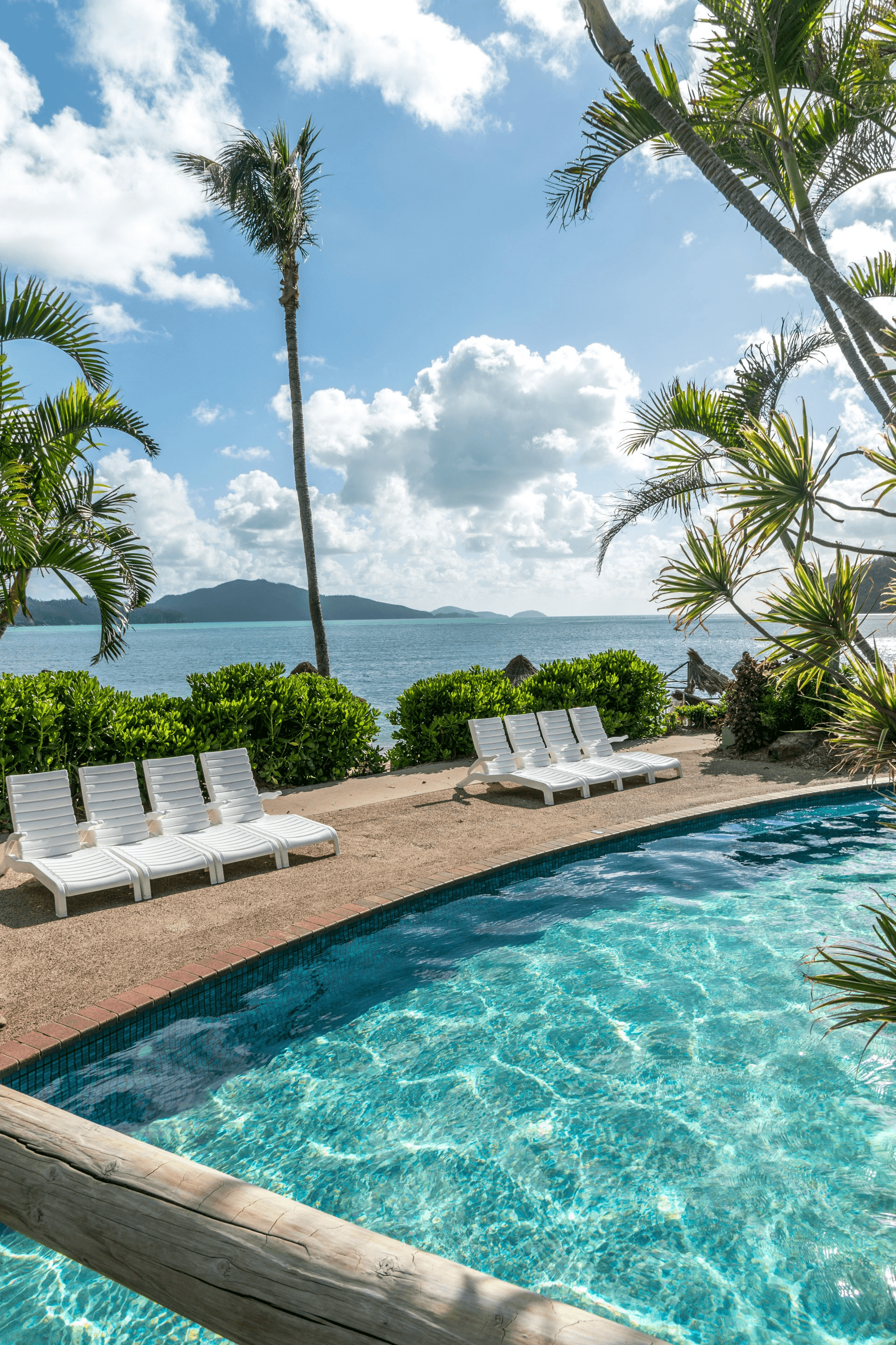 composite deck for above ground pool surrounded by plants