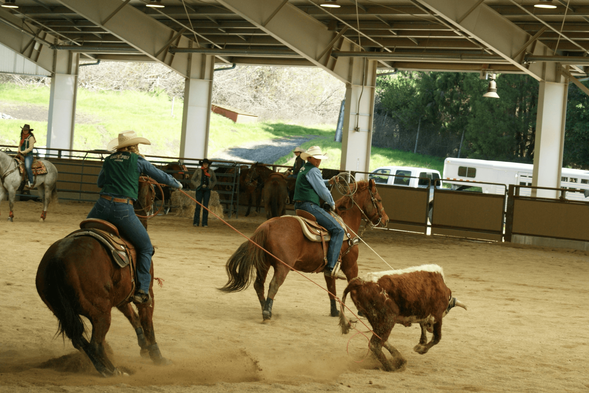Group Roping Lessons
