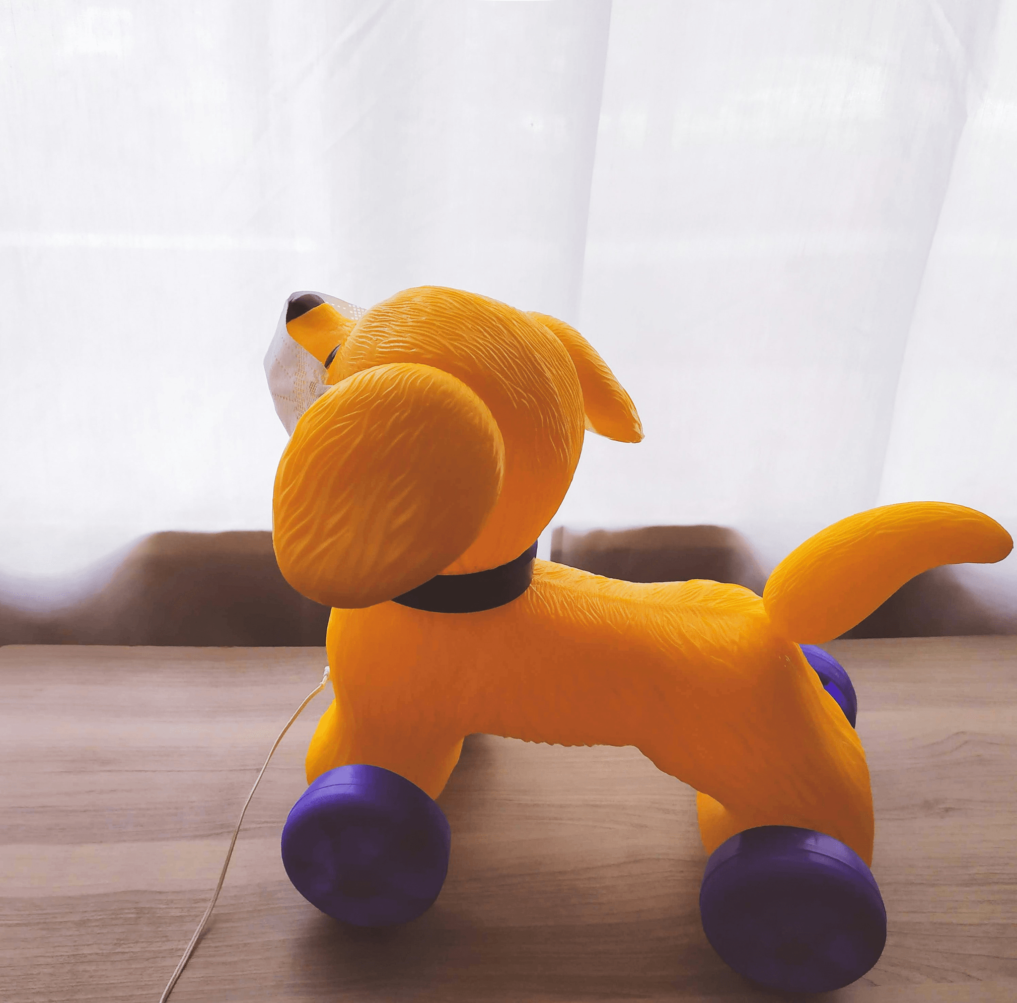 How can I entertain my dog with interactive toys