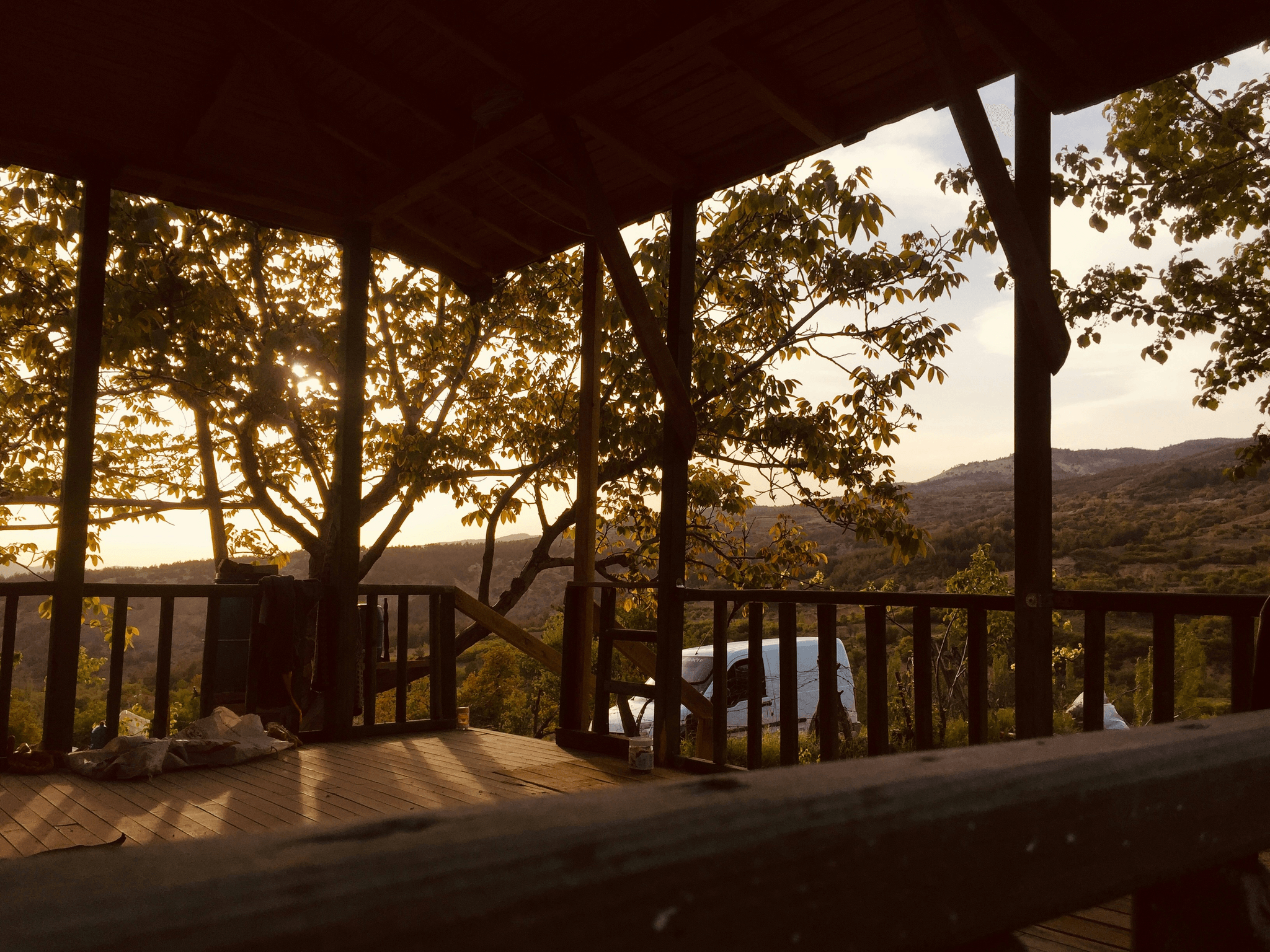 Stylish mobile cabins surrounded by nature.