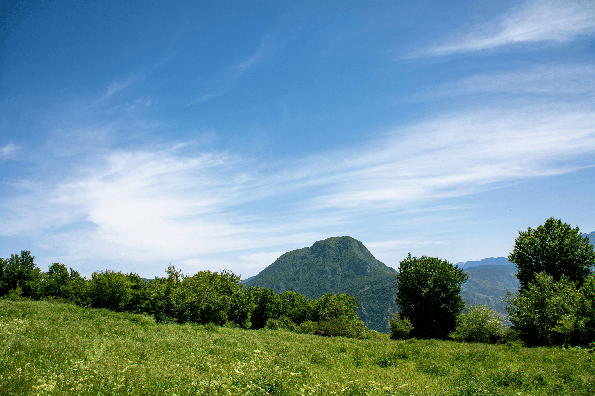 AUVERGNE