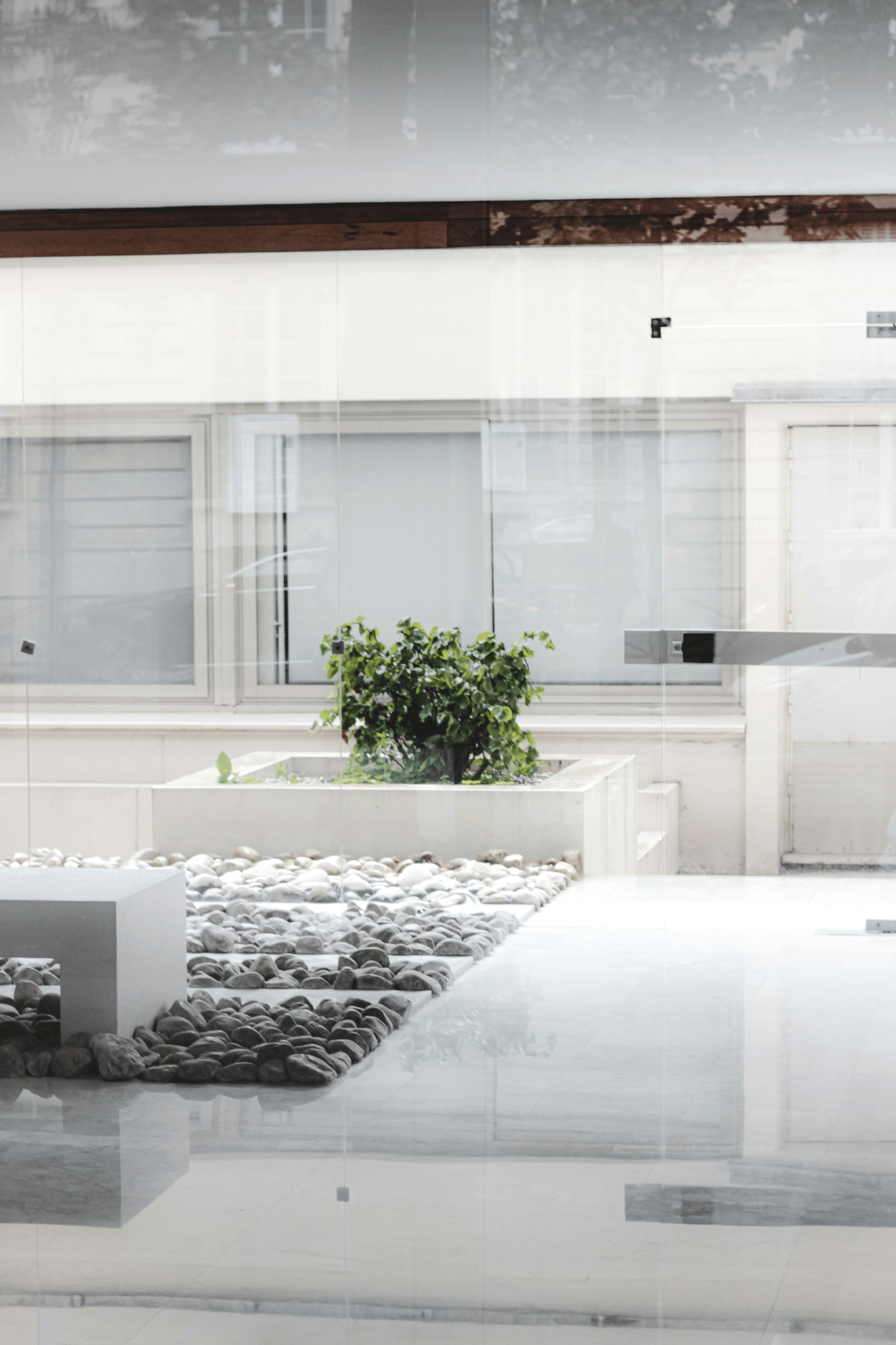 Stunning view of a contemporary glass house prefab surrounded by nature.