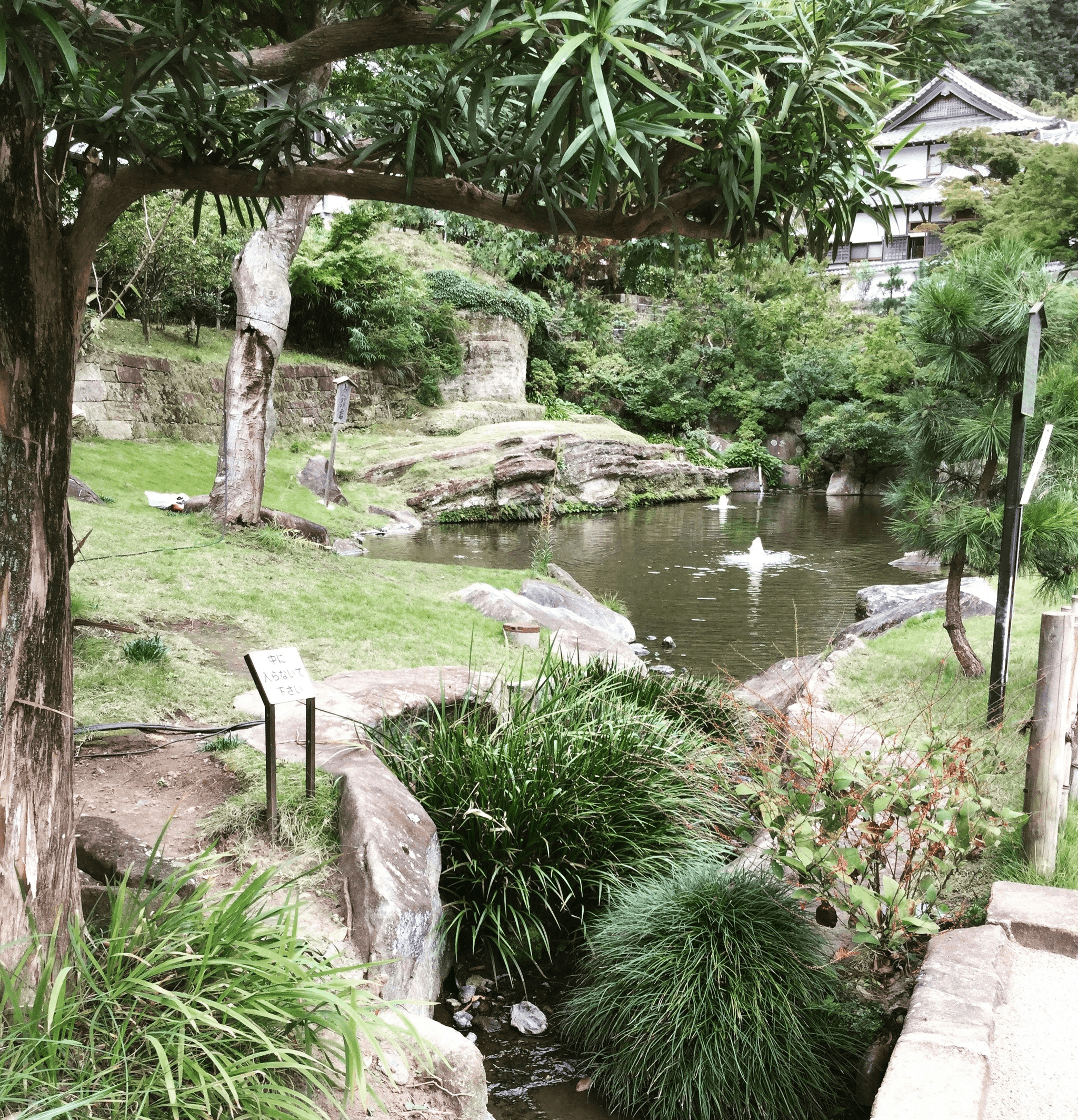 Houses that are eco friendly - Illustration of an eco-friendly garden with diverse plant life