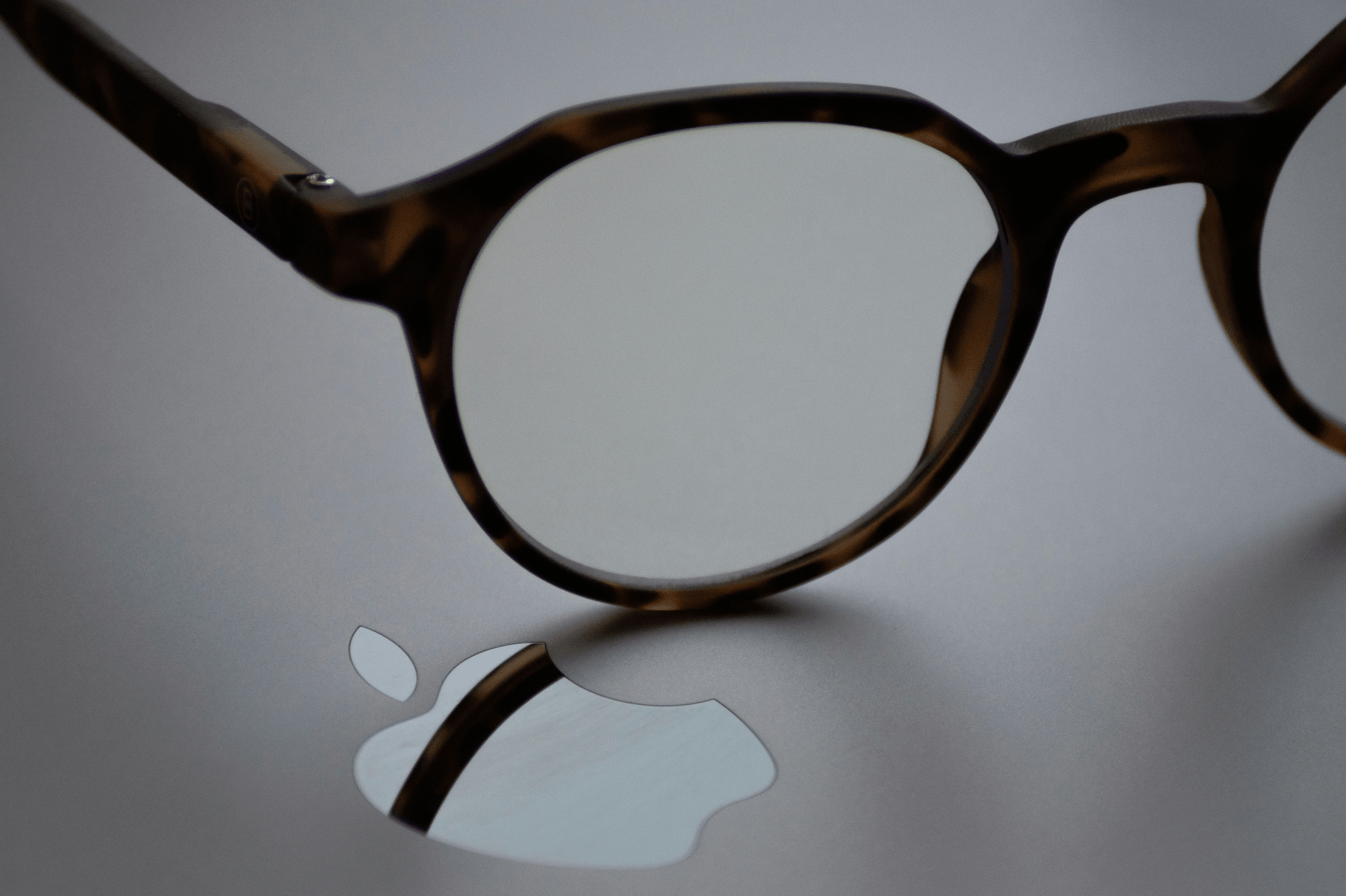 what are the parts of glasses called