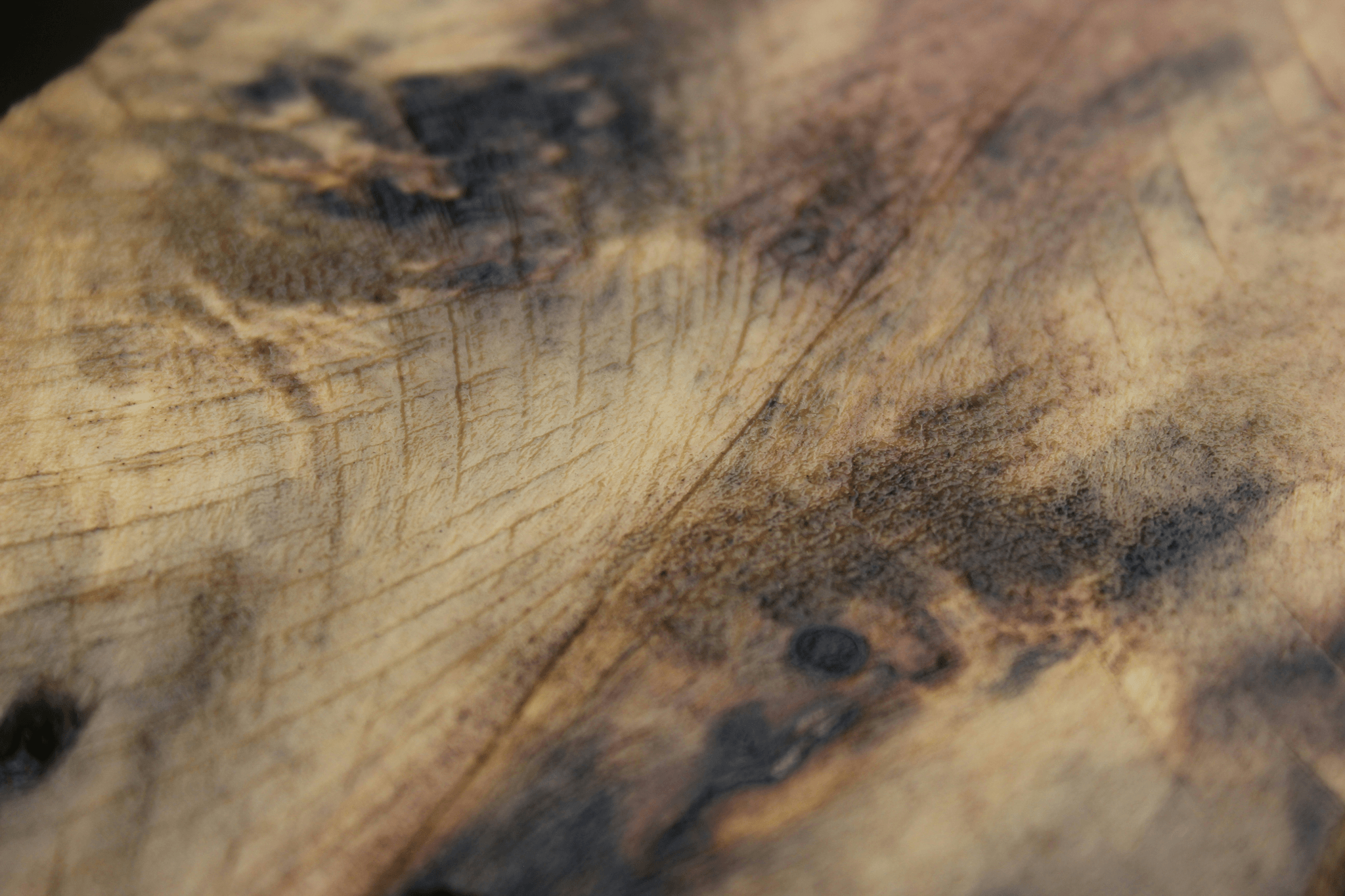 exploring various decking timber types including treated pine