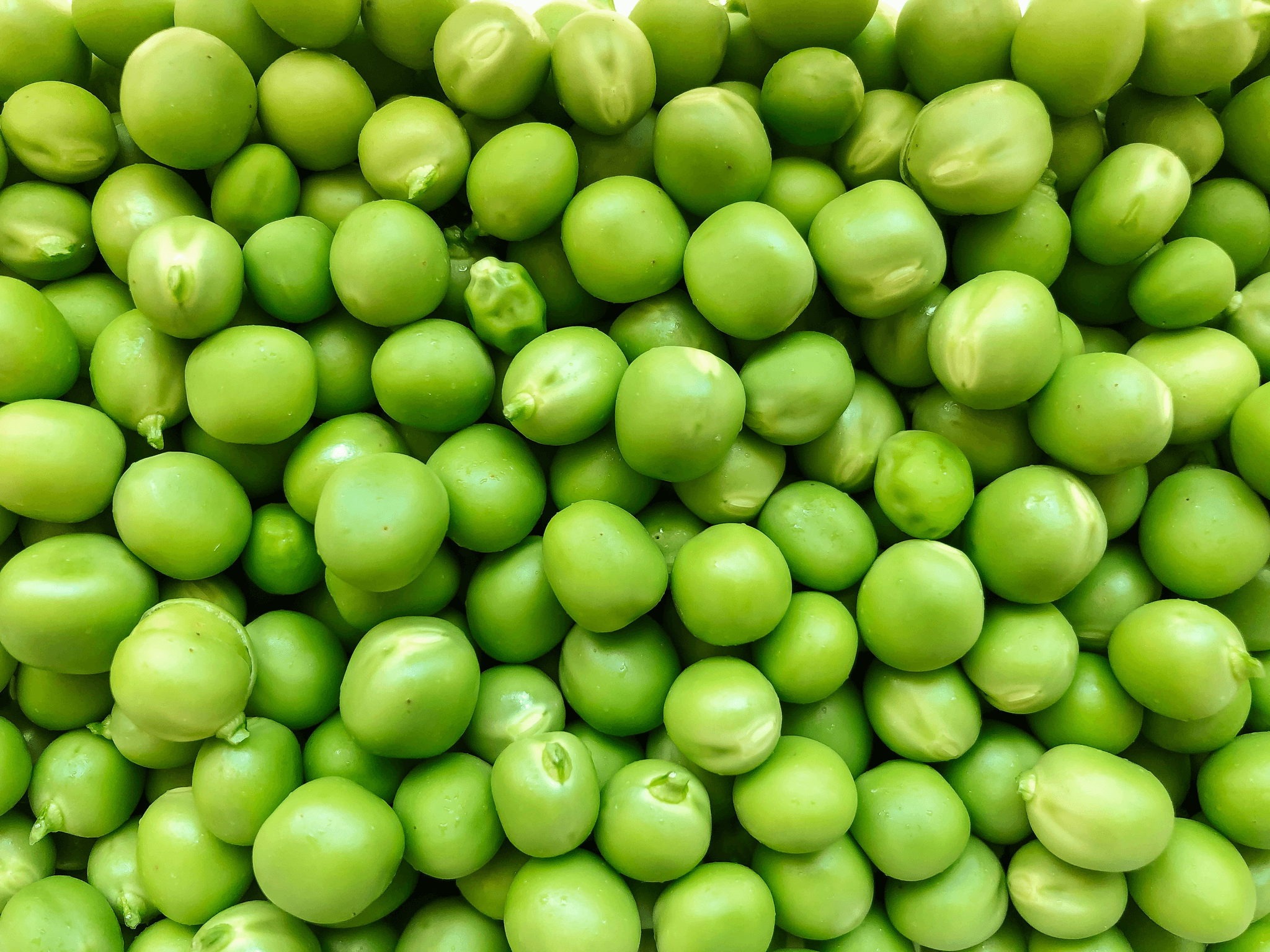 freshly packaged freeze dried peas available from top brands